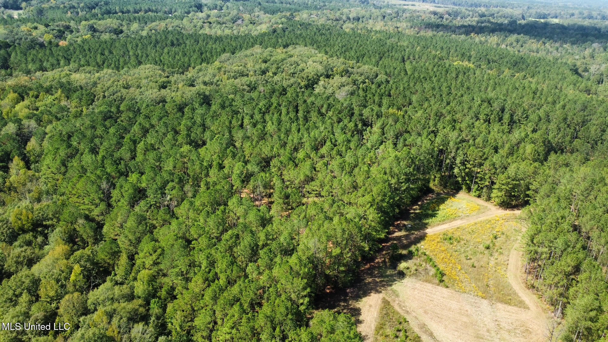 2 Highway 469 Property Photo 19