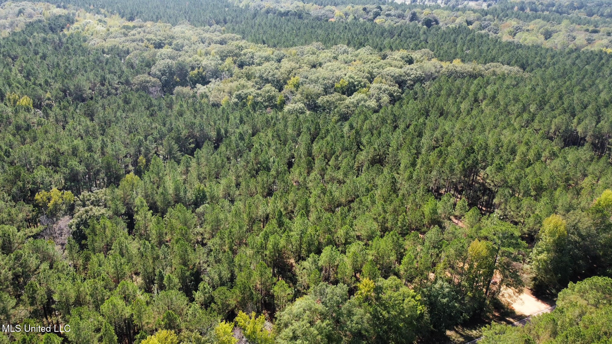 2 Highway 469 Property Photo 20