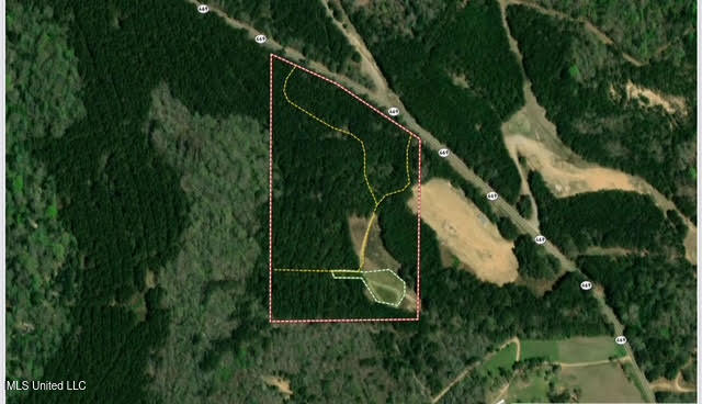 2 Highway 469 Property Photo 22