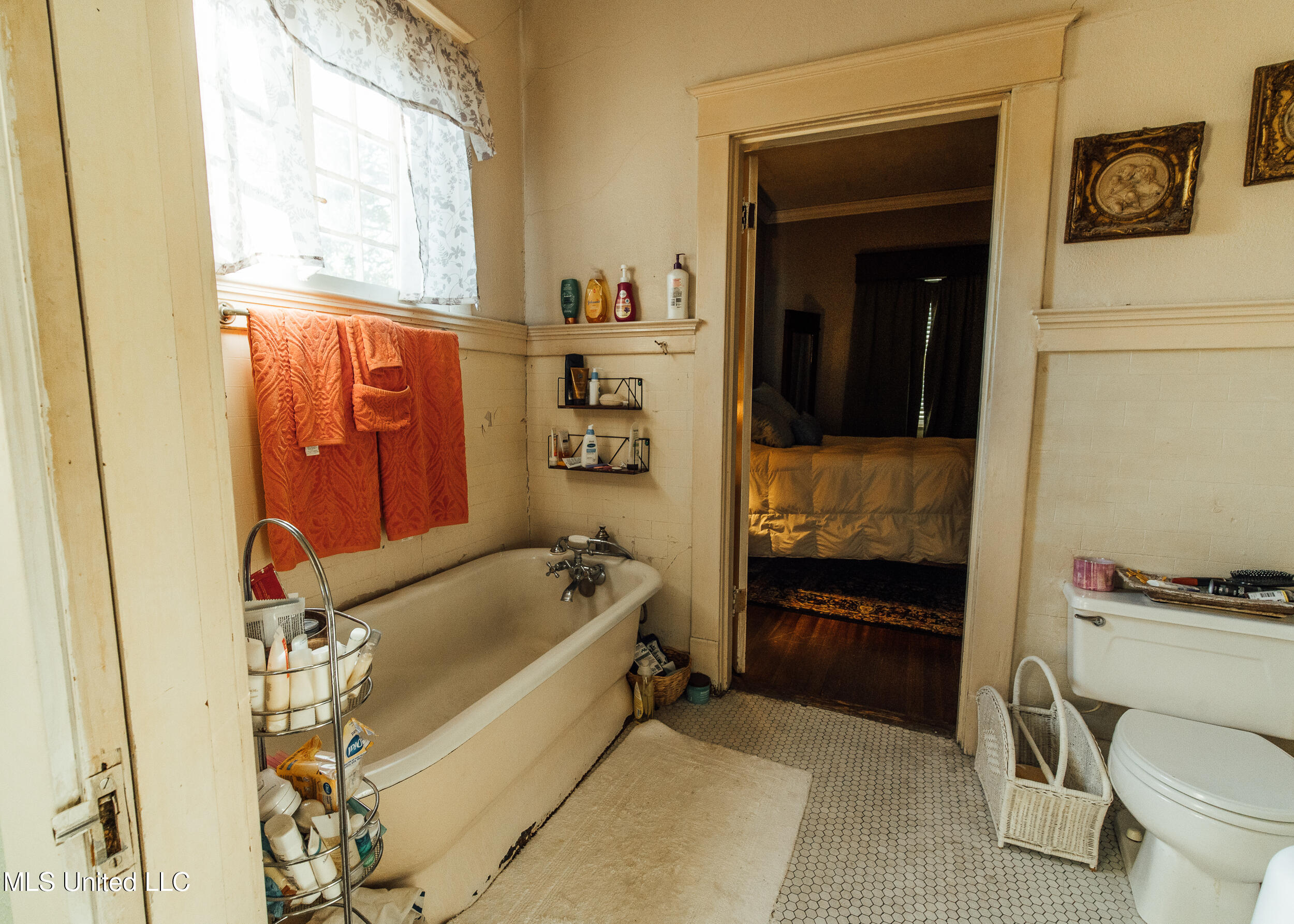 300 Elizabeth Street Property Photo 15