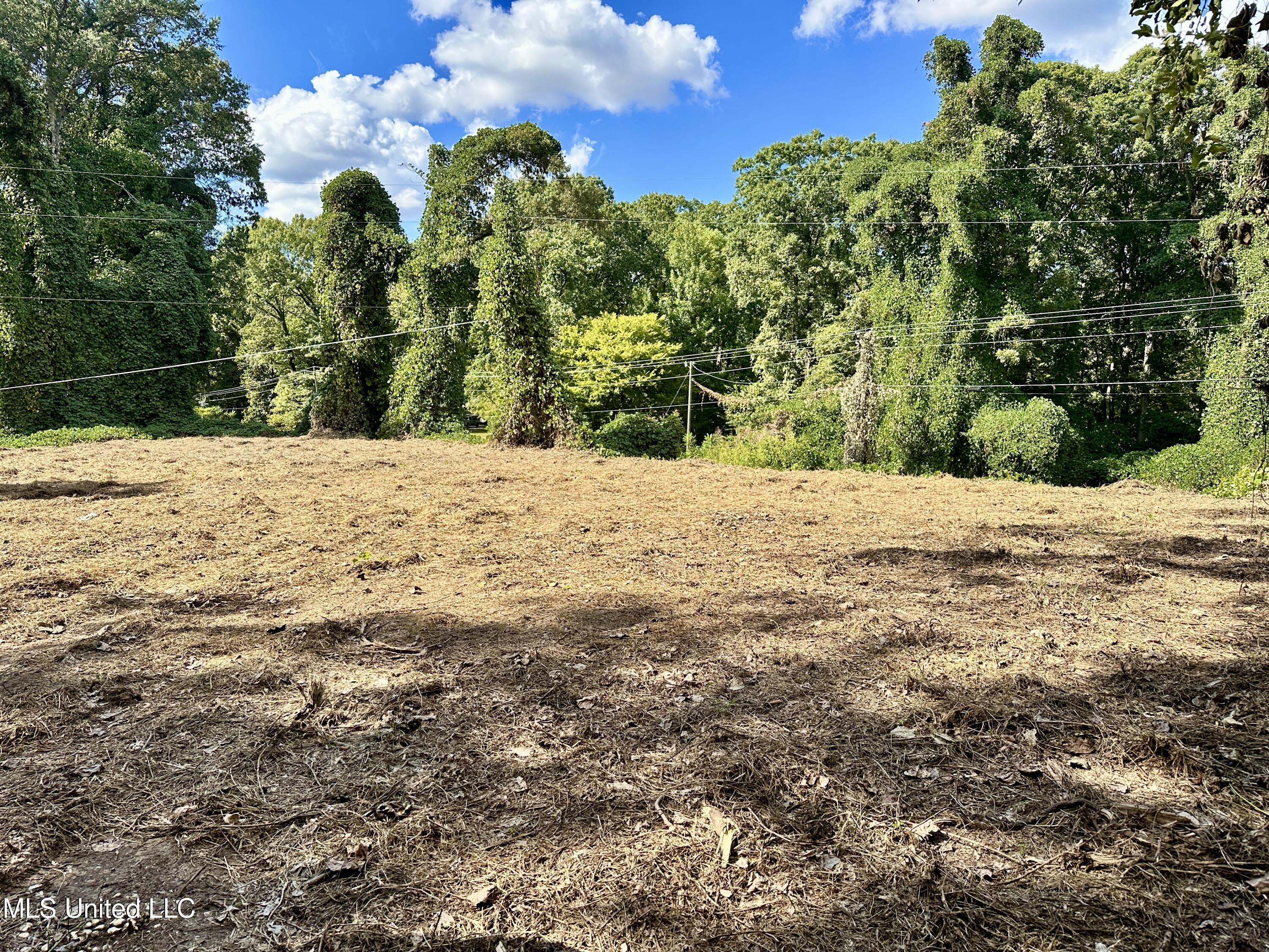 11050 Elm Drive Property Photo 1