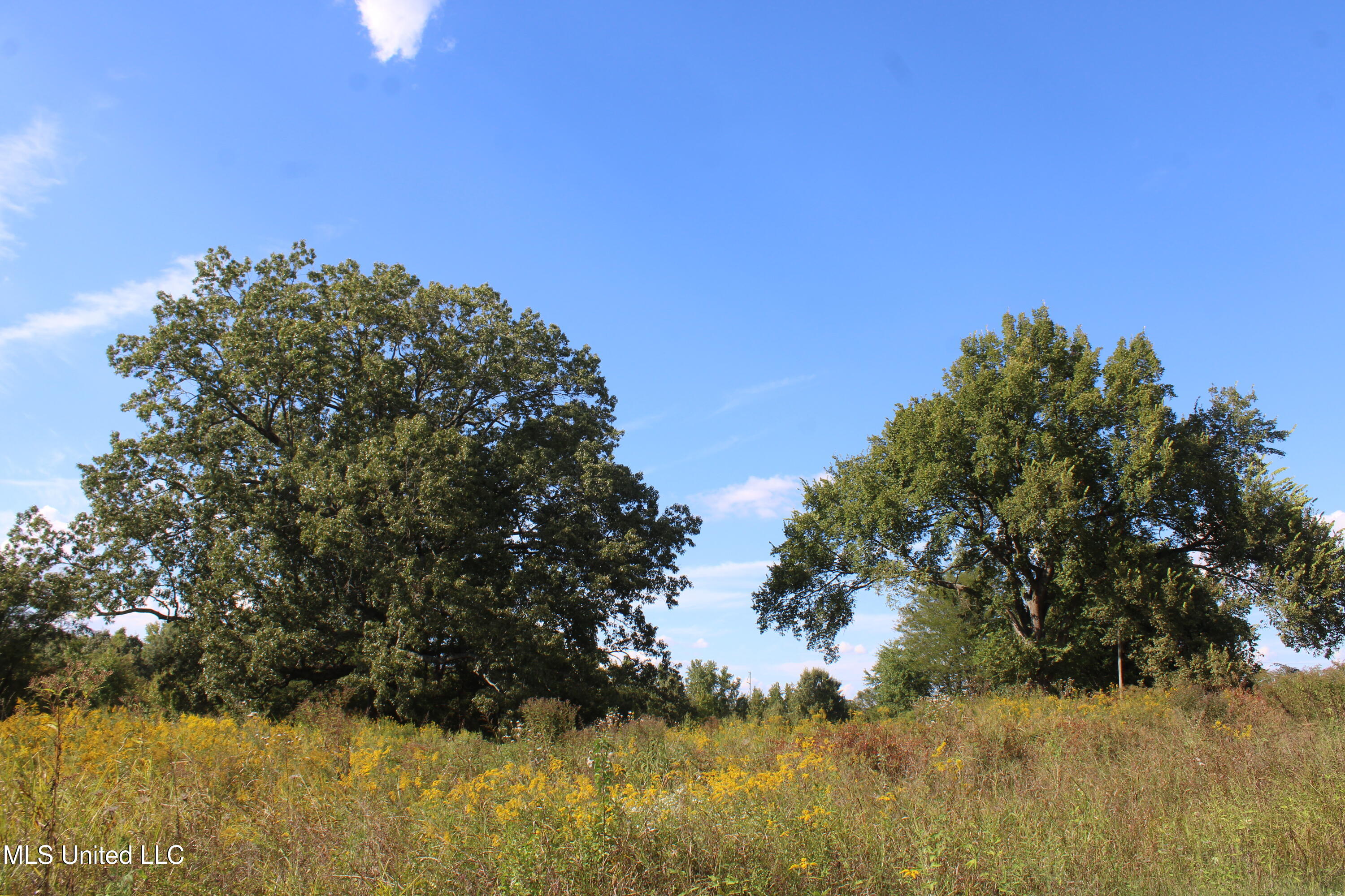 5300 Desoto Road Property Photo 1