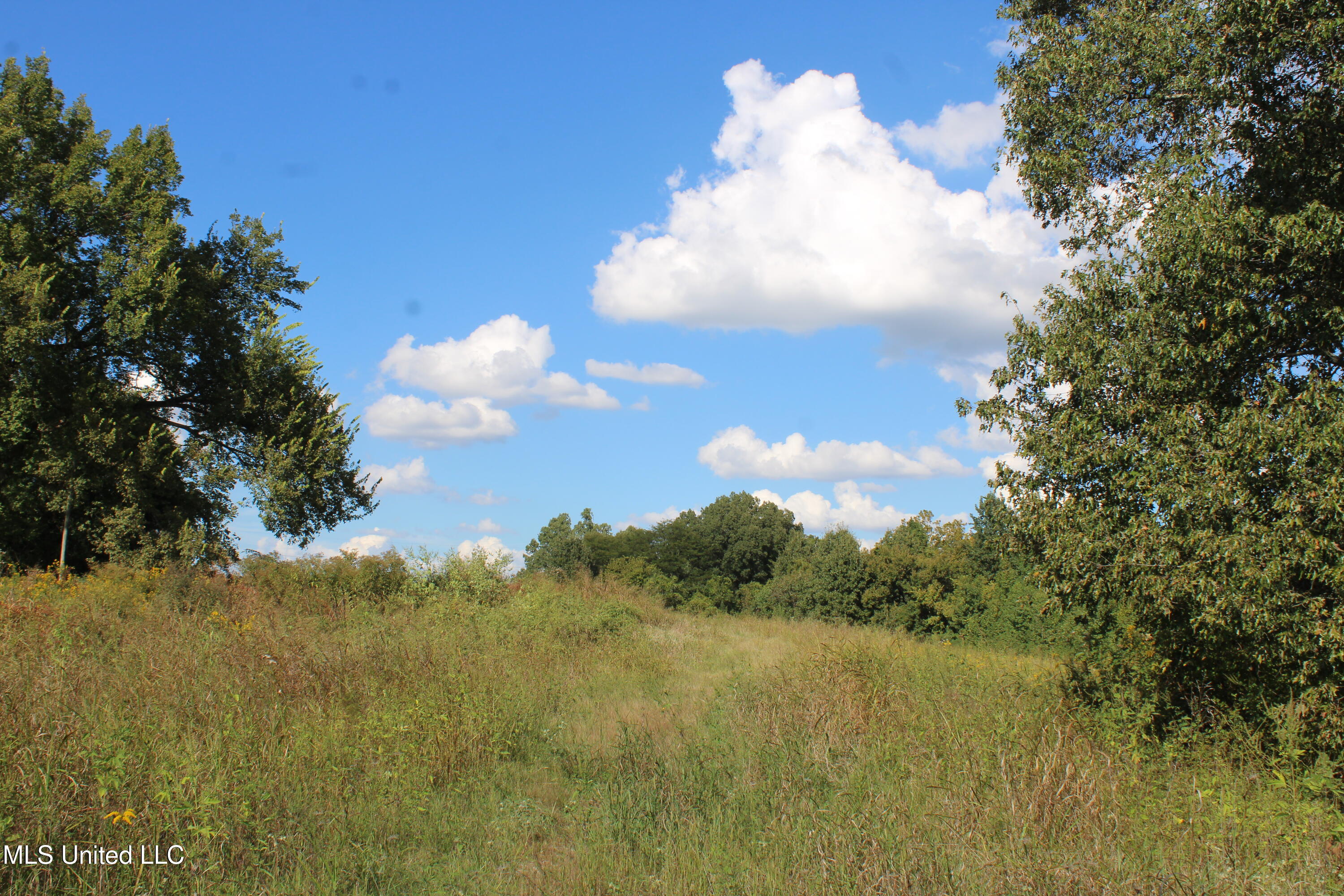 5300 Desoto Road Property Photo 2