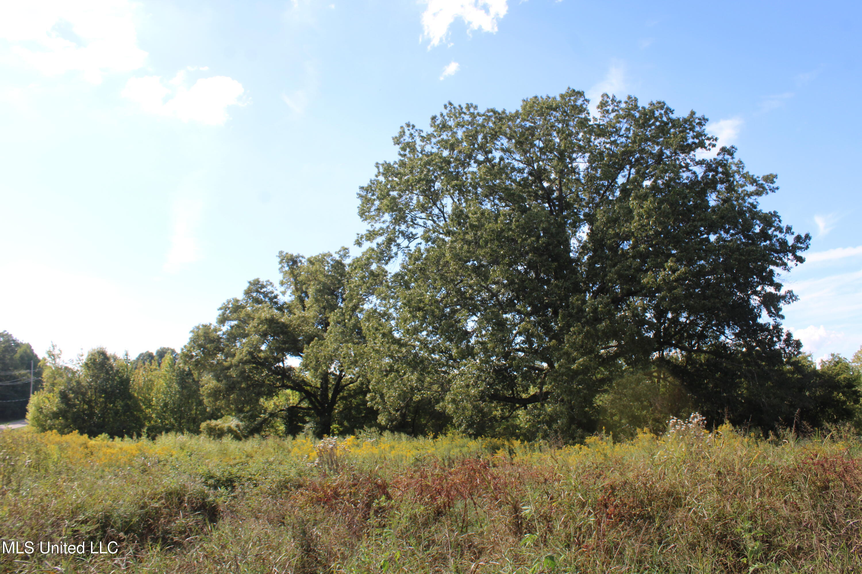 5300 Desoto Road Property Photo 5