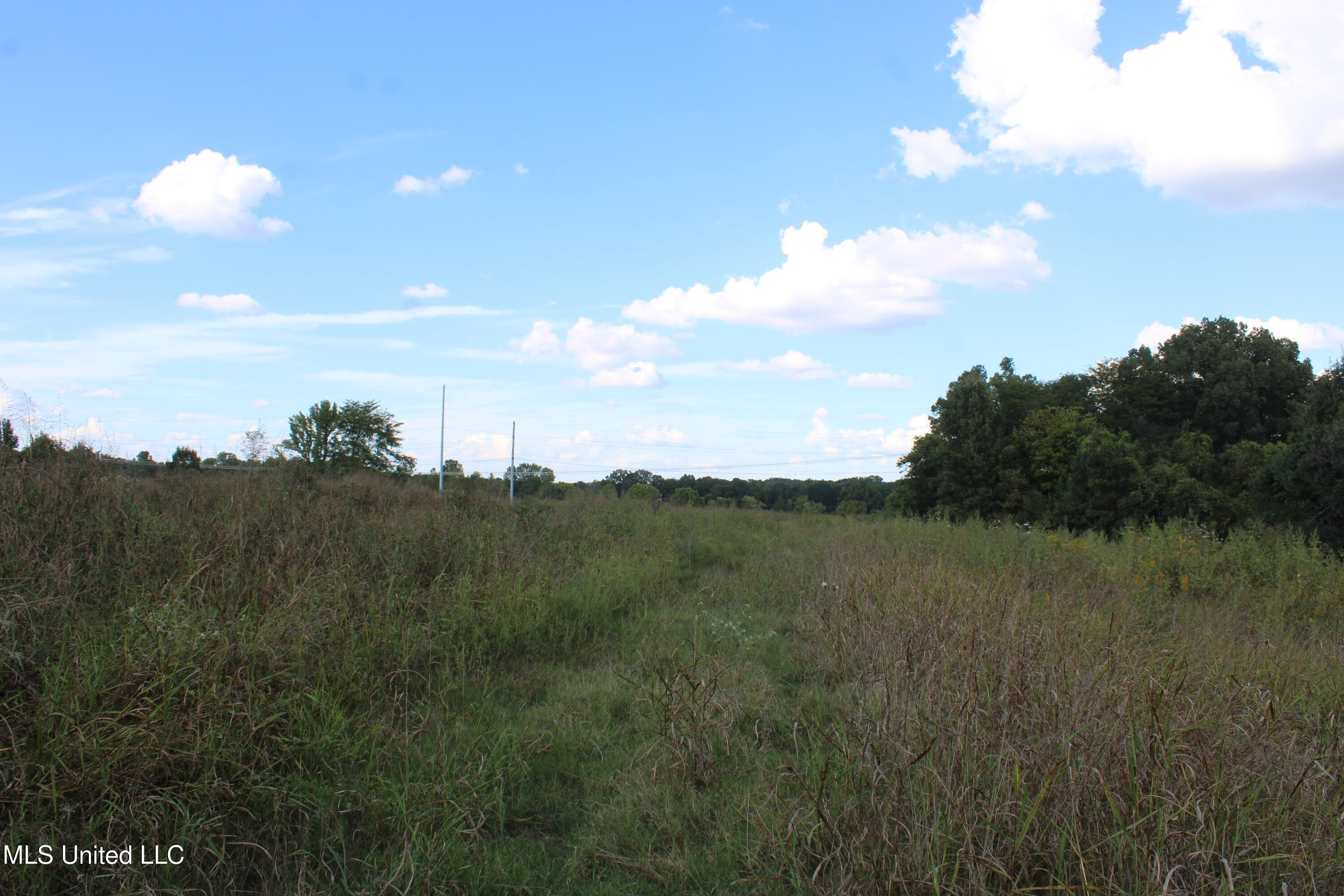 5300 Desoto Road Property Photo 6