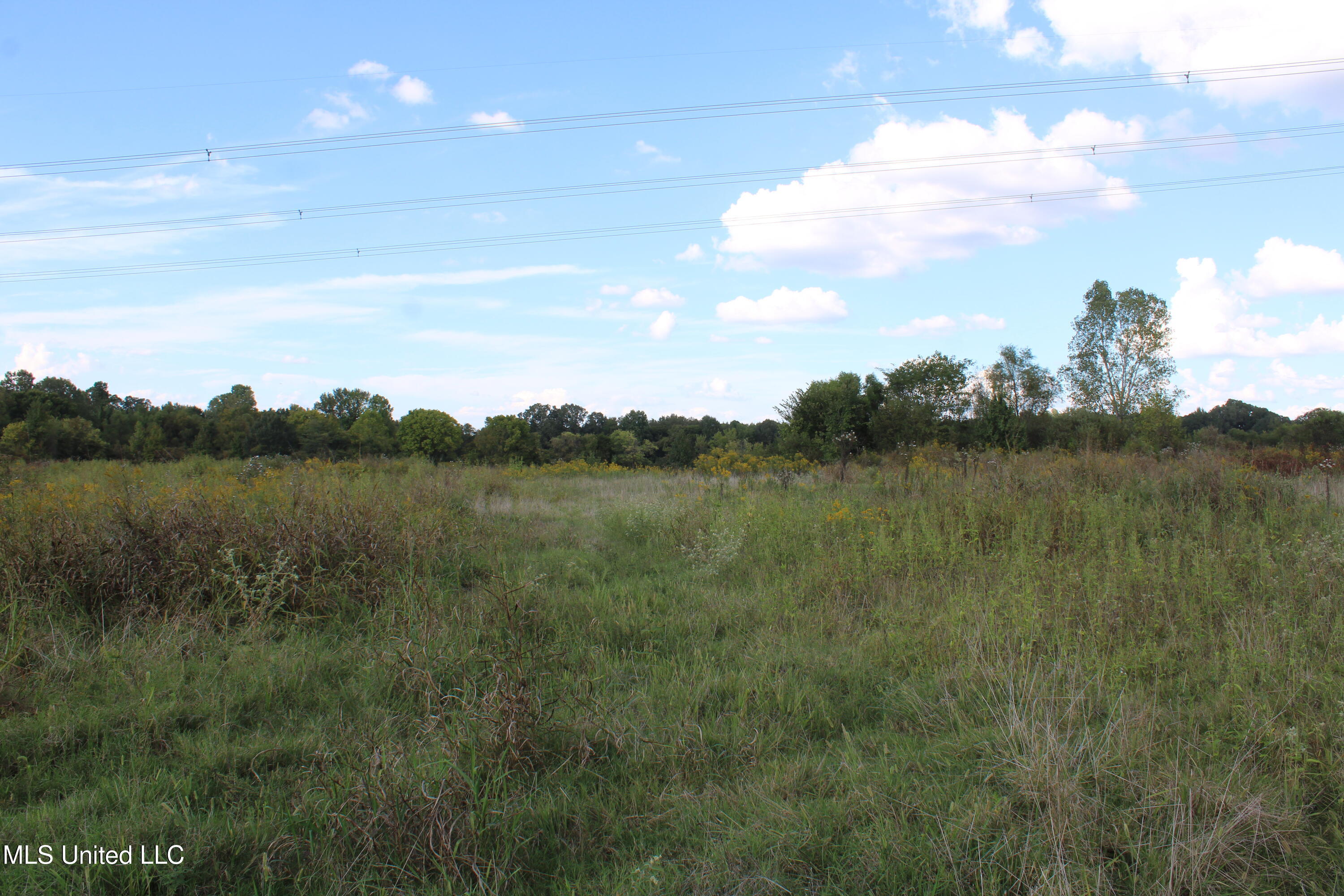 5300 Desoto Road Property Photo 7