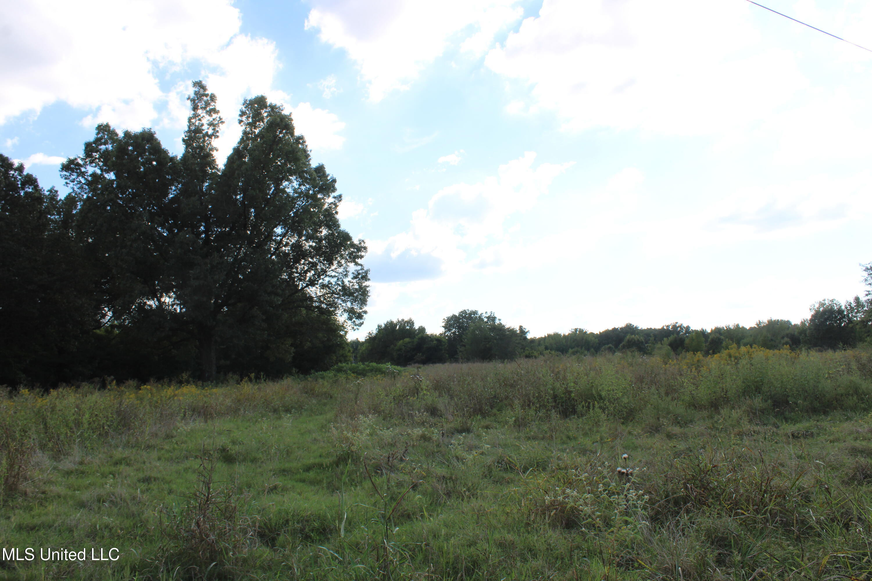 5300 Desoto Road Property Photo 9