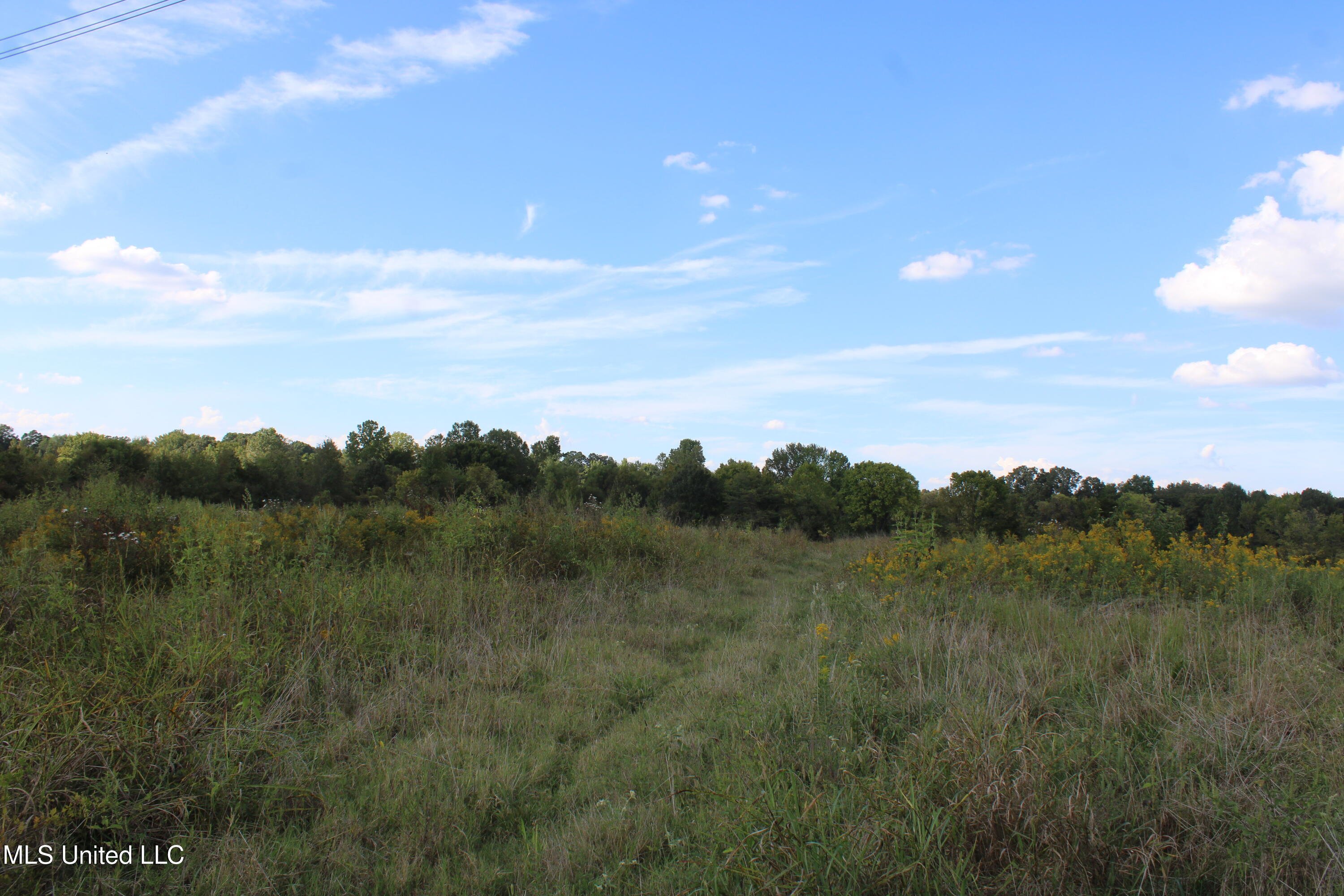 5300 Desoto Road Property Photo 10