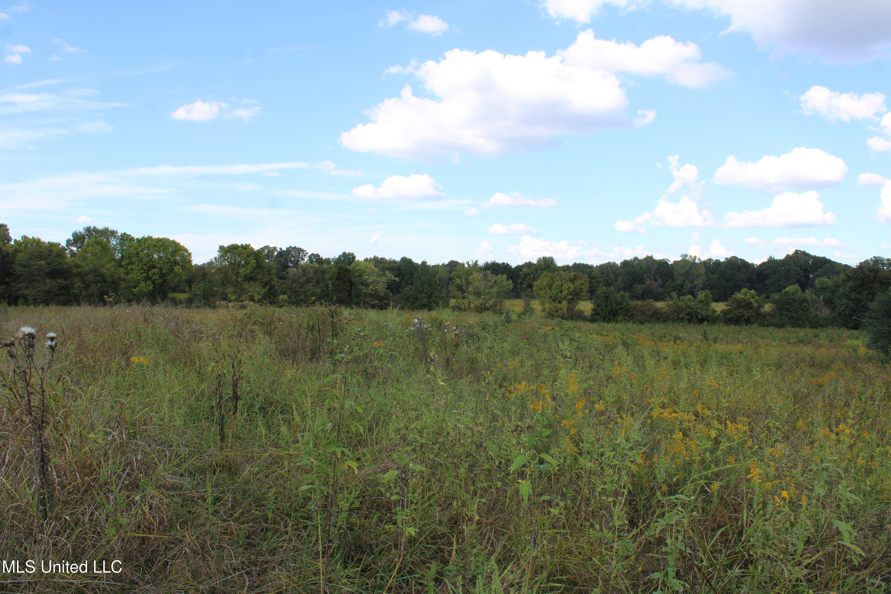 5300 Desoto Road Property Photo 11