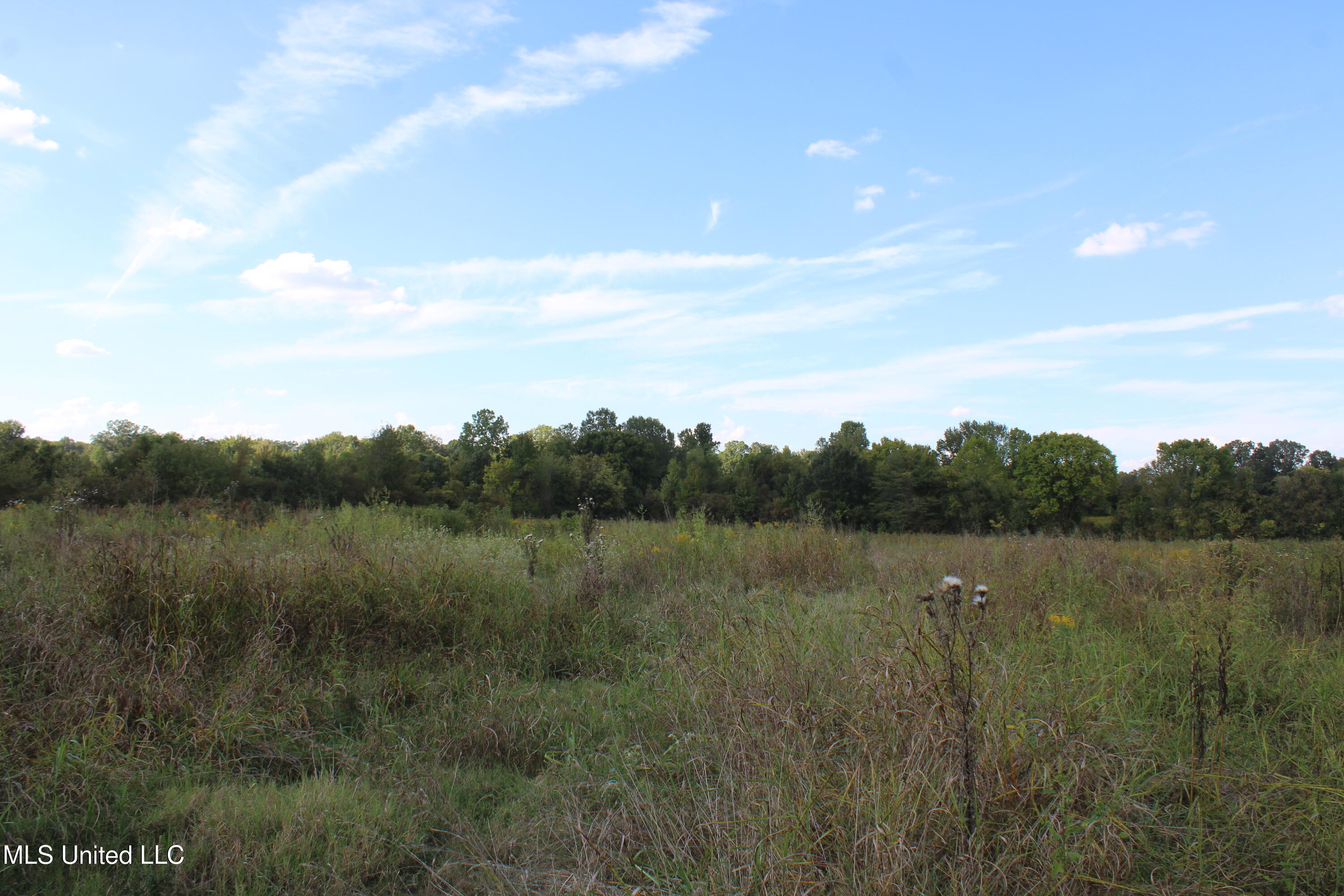 5300 Desoto Road Property Photo 12