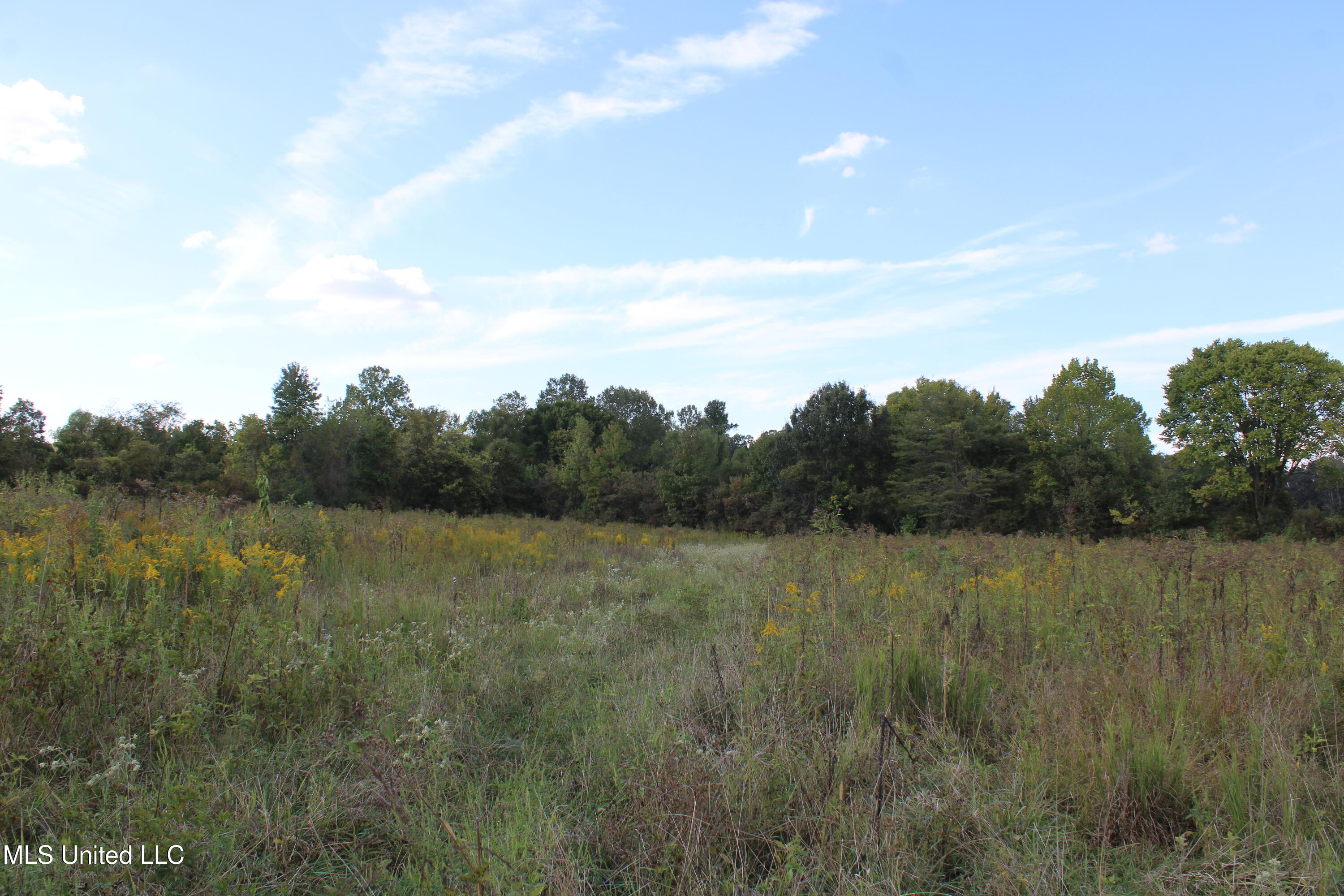 5300 Desoto Road Property Photo 13