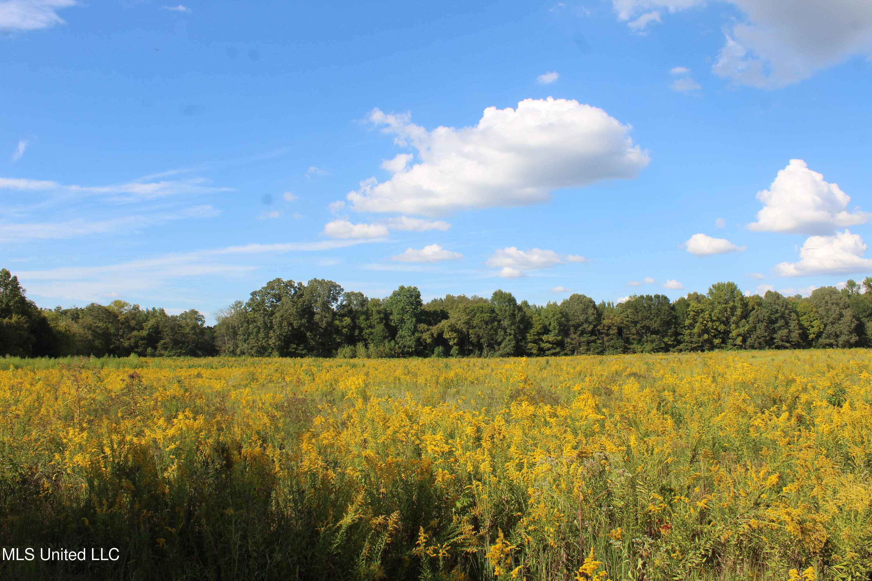 5300 Desoto Road Property Photo 14
