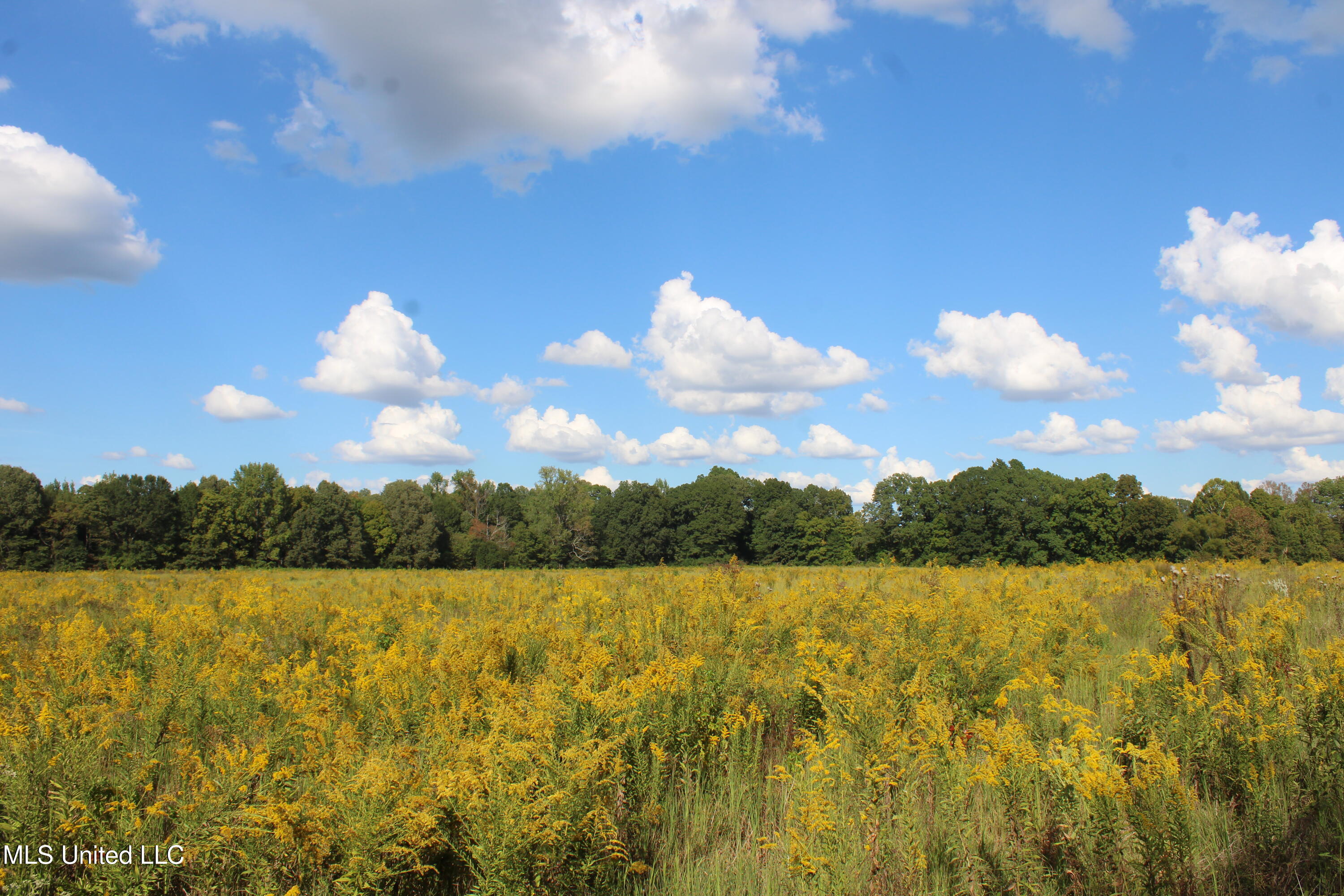 5300 Desoto Road Property Photo 15