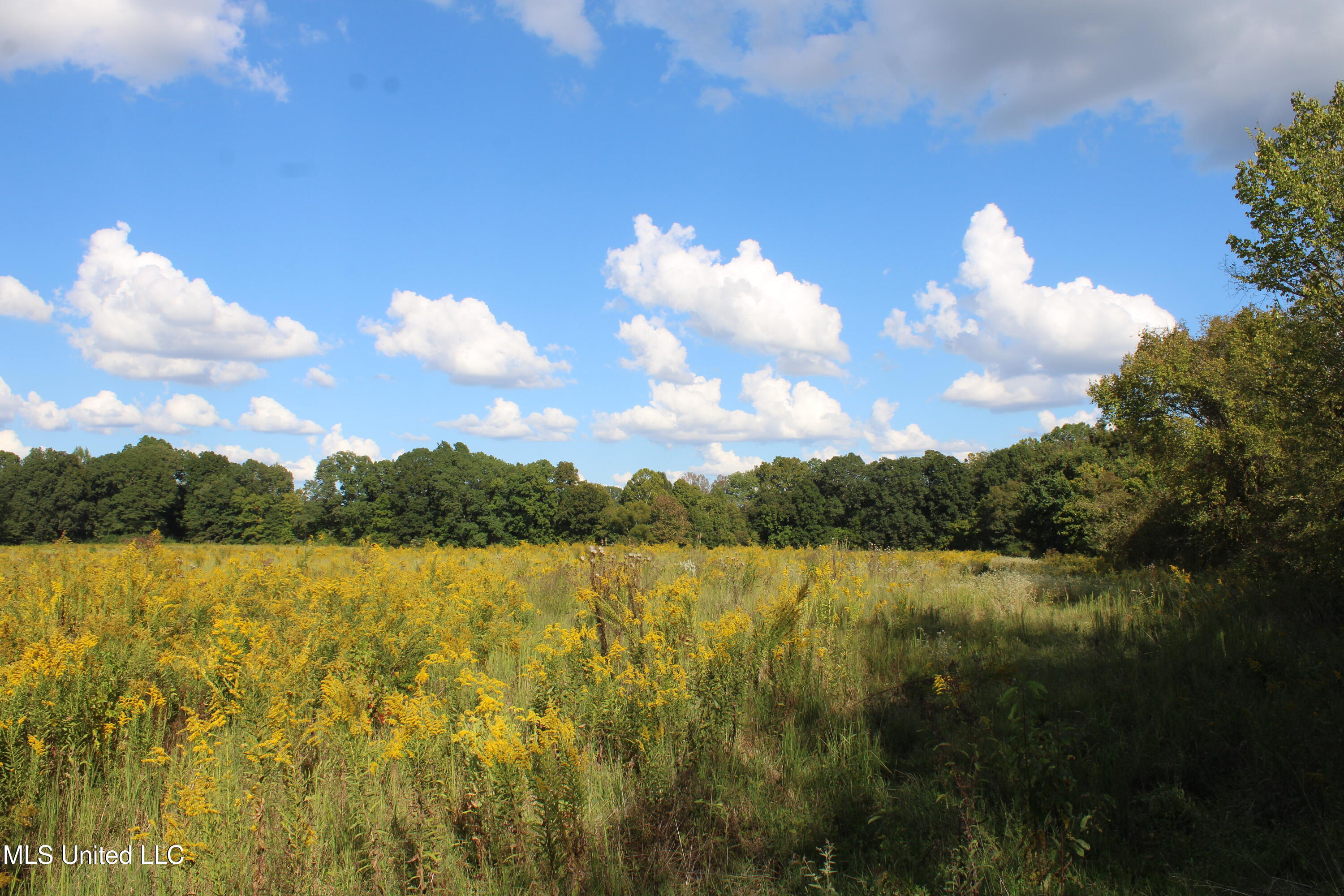 5300 Desoto Road Property Photo 16