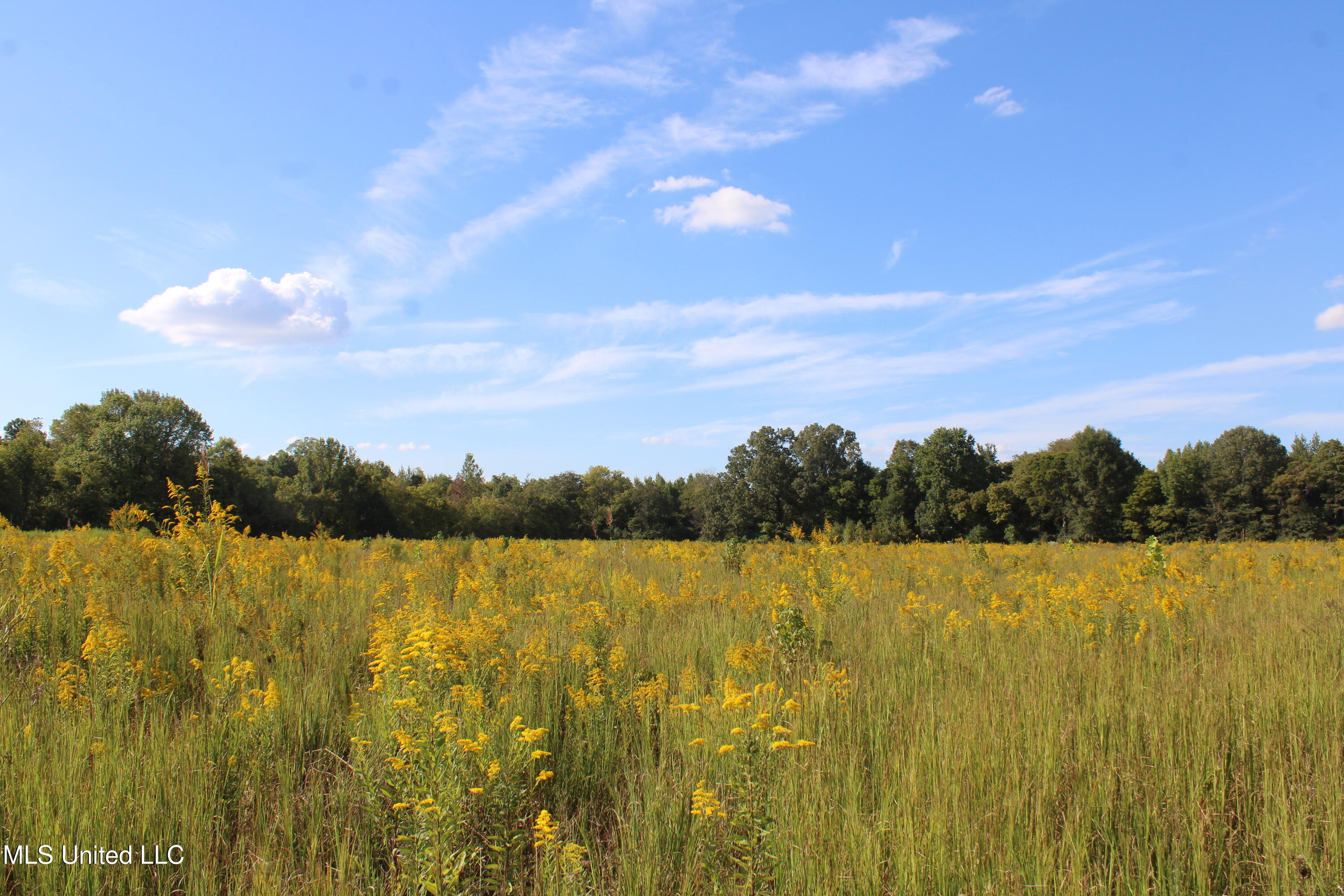 5300 Desoto Road Property Photo 17