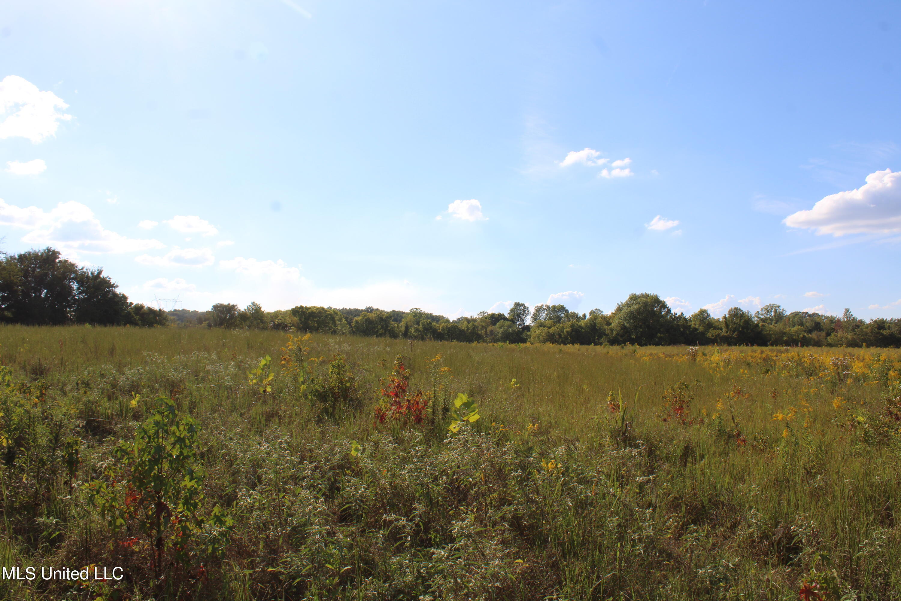 5300 Desoto Road Property Photo 18