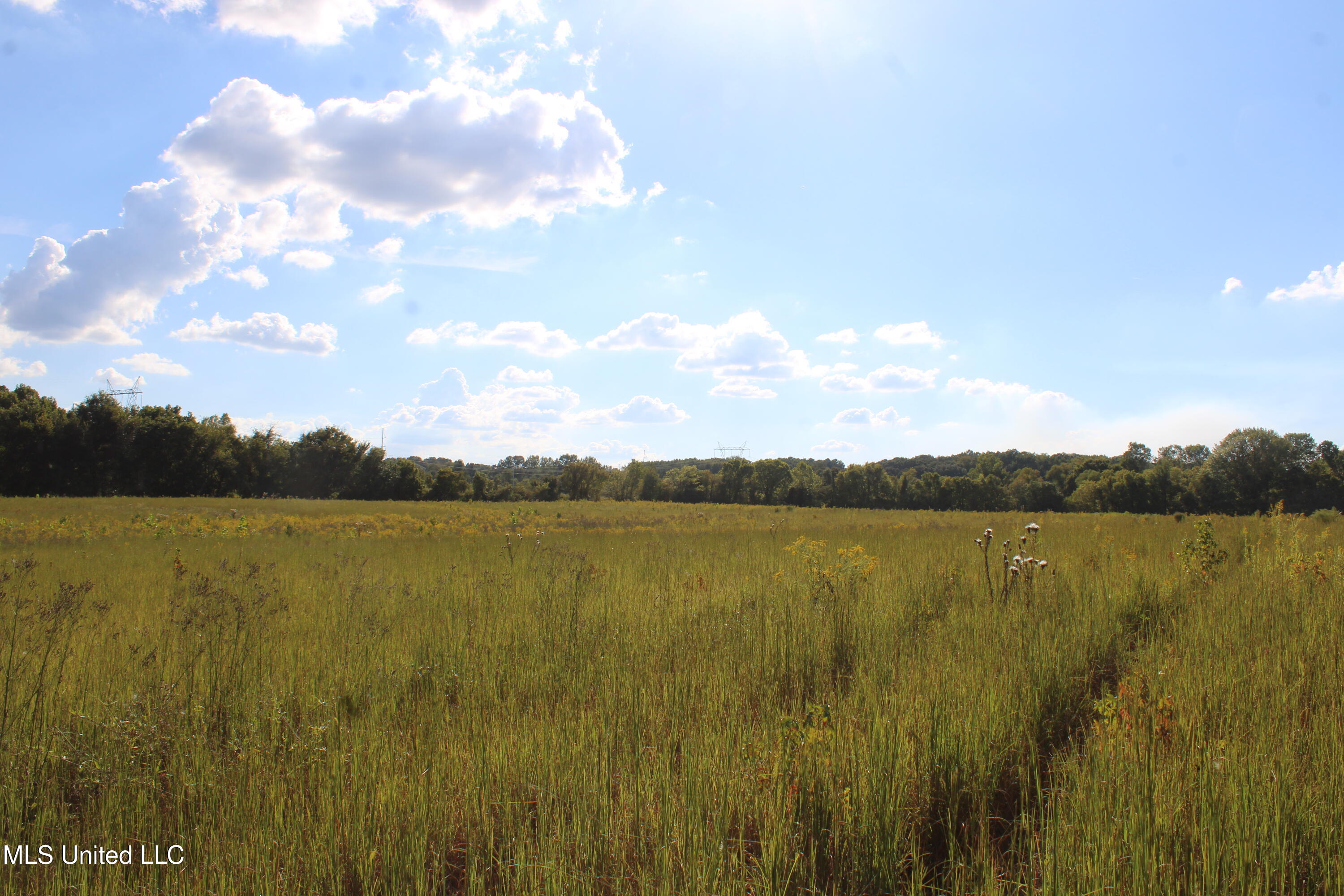 5300 Desoto Road Property Photo 19