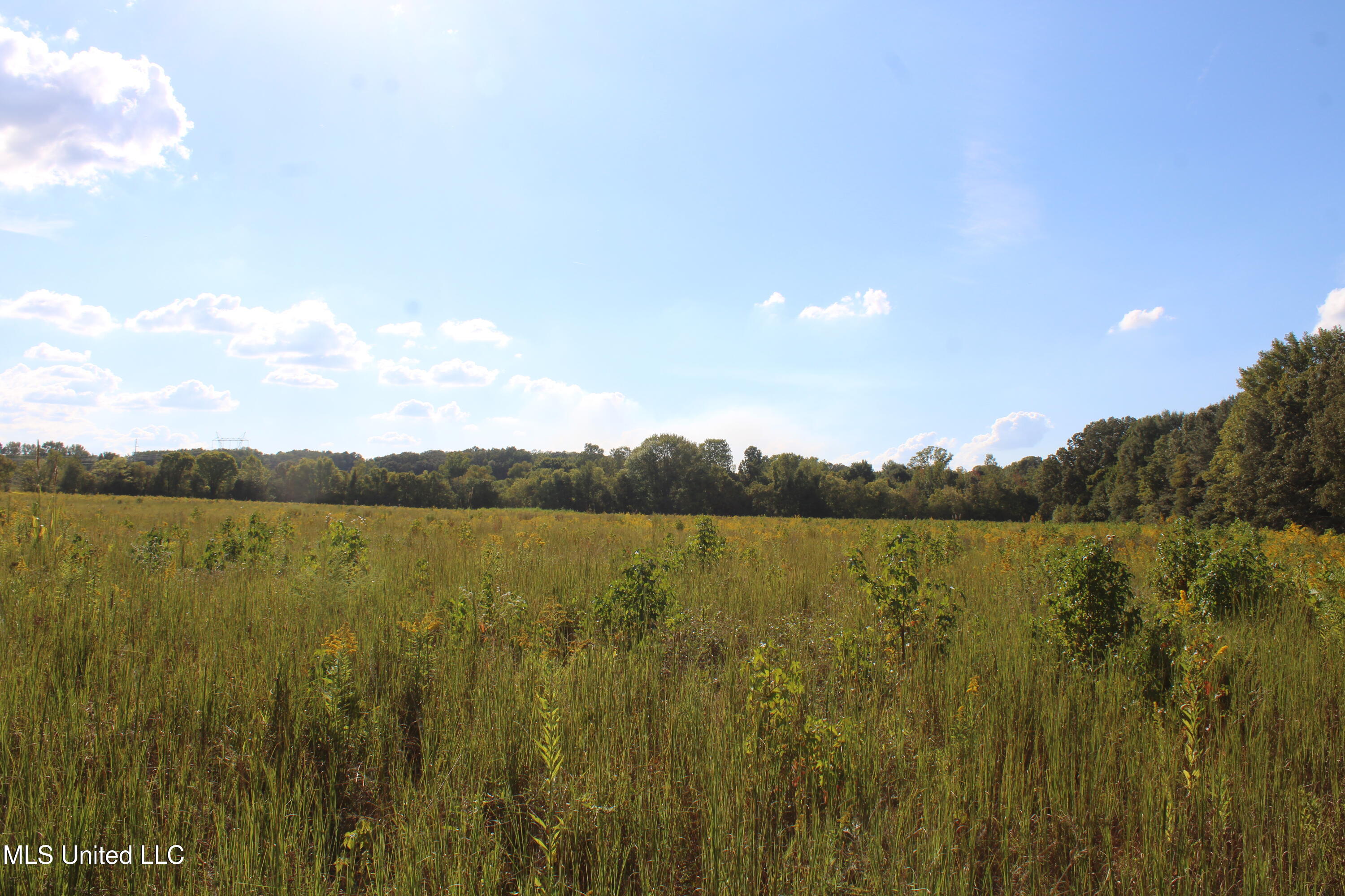 5300 Desoto Road Property Photo 20