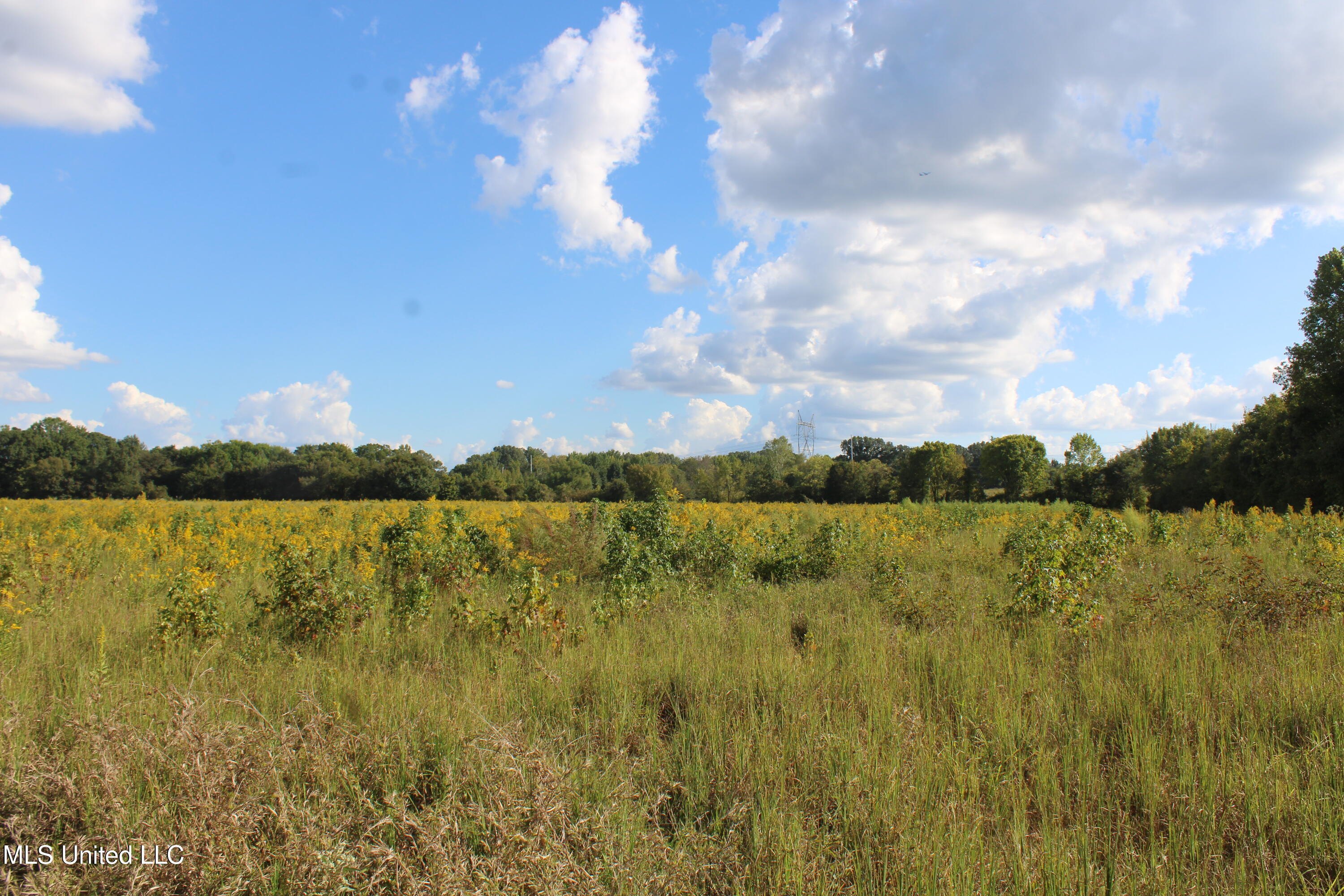 5300 Desoto Road Property Photo 21