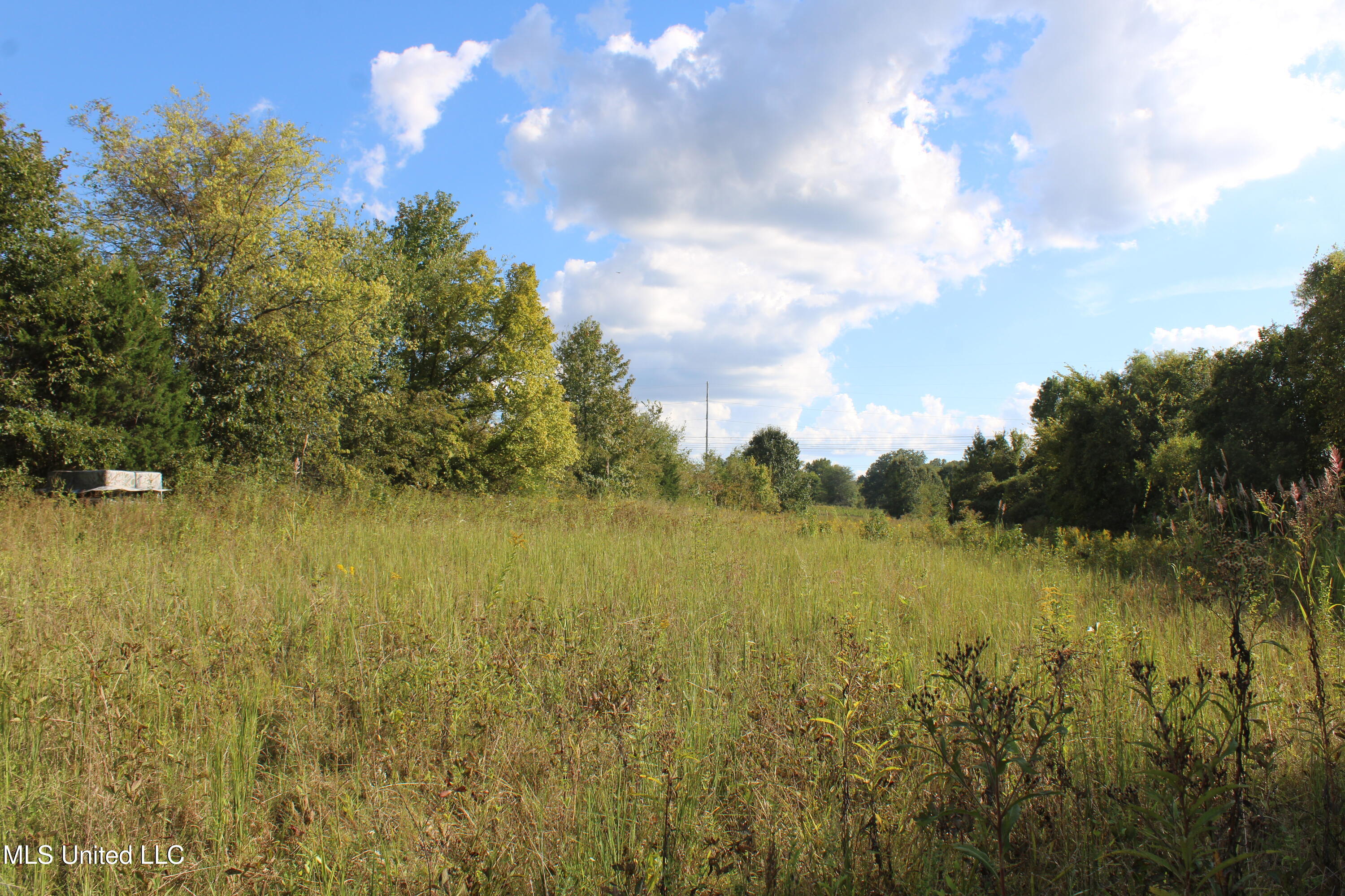 5300 Desoto Road Property Photo 22