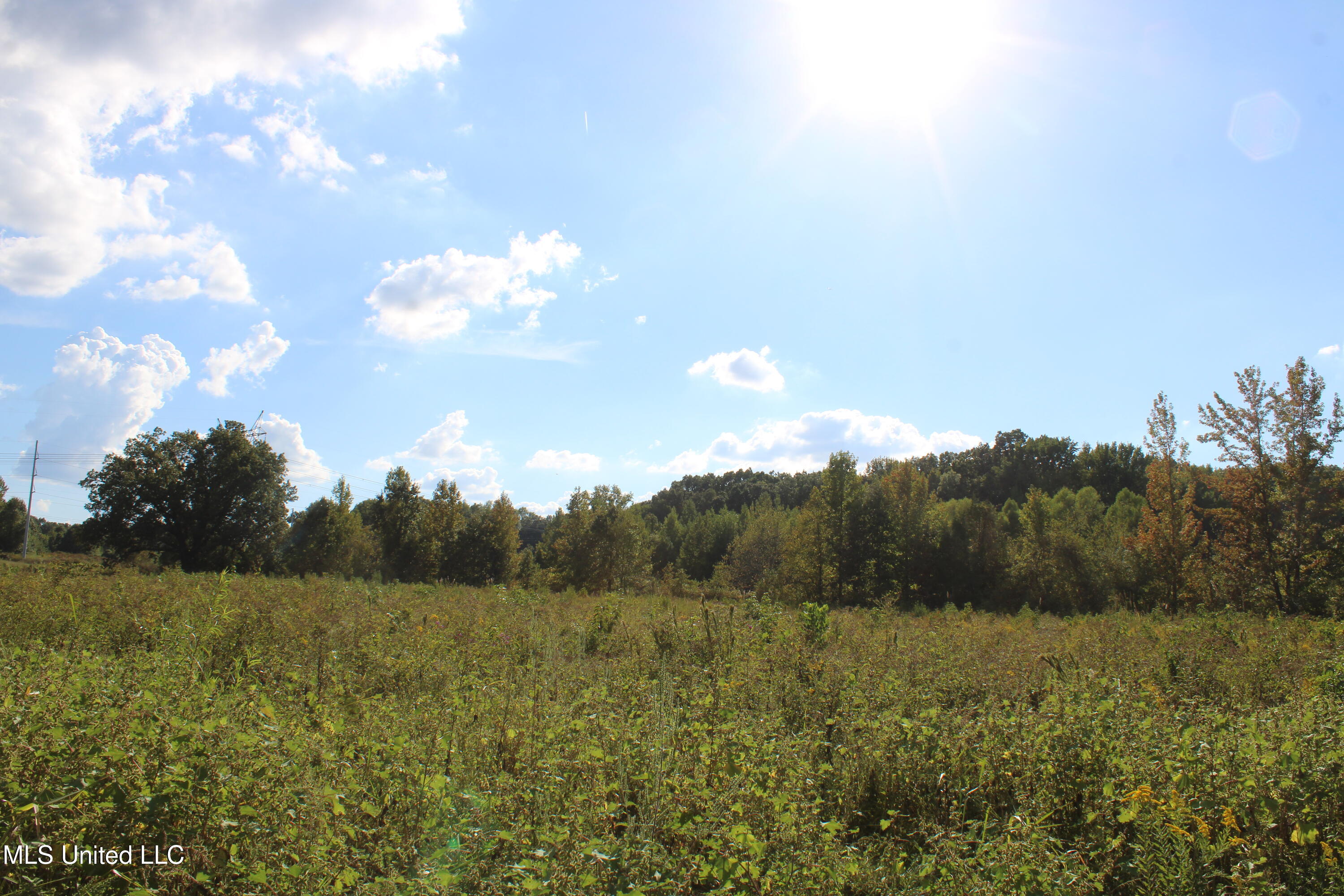 5300 Desoto Road Property Photo 23
