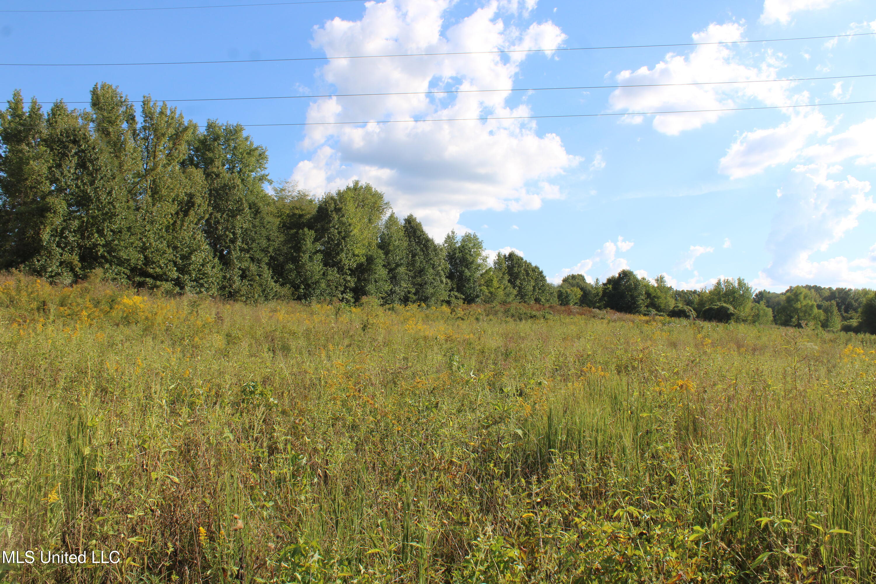 5300 Desoto Road Property Photo 24