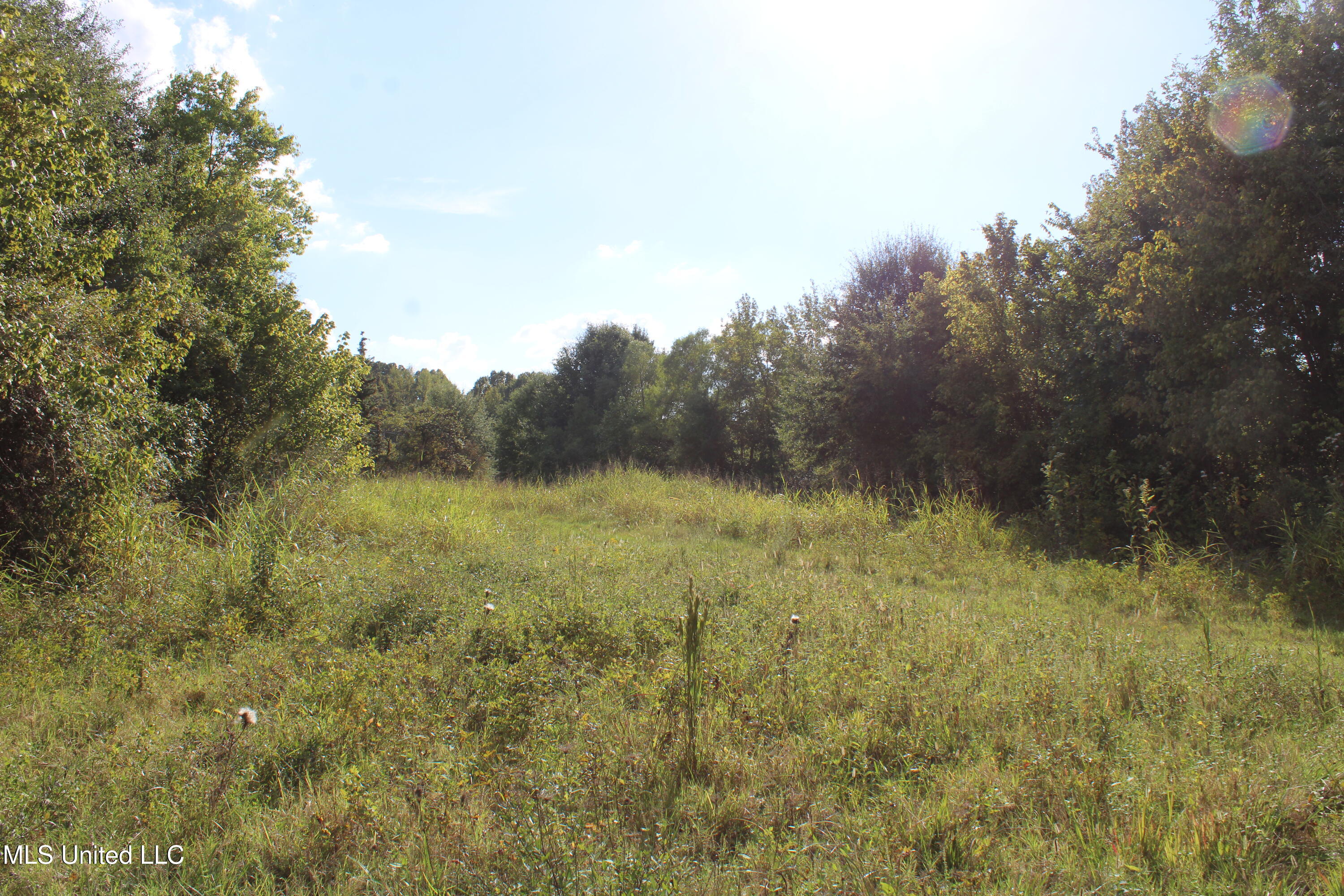 5300 Desoto Road Property Photo 25