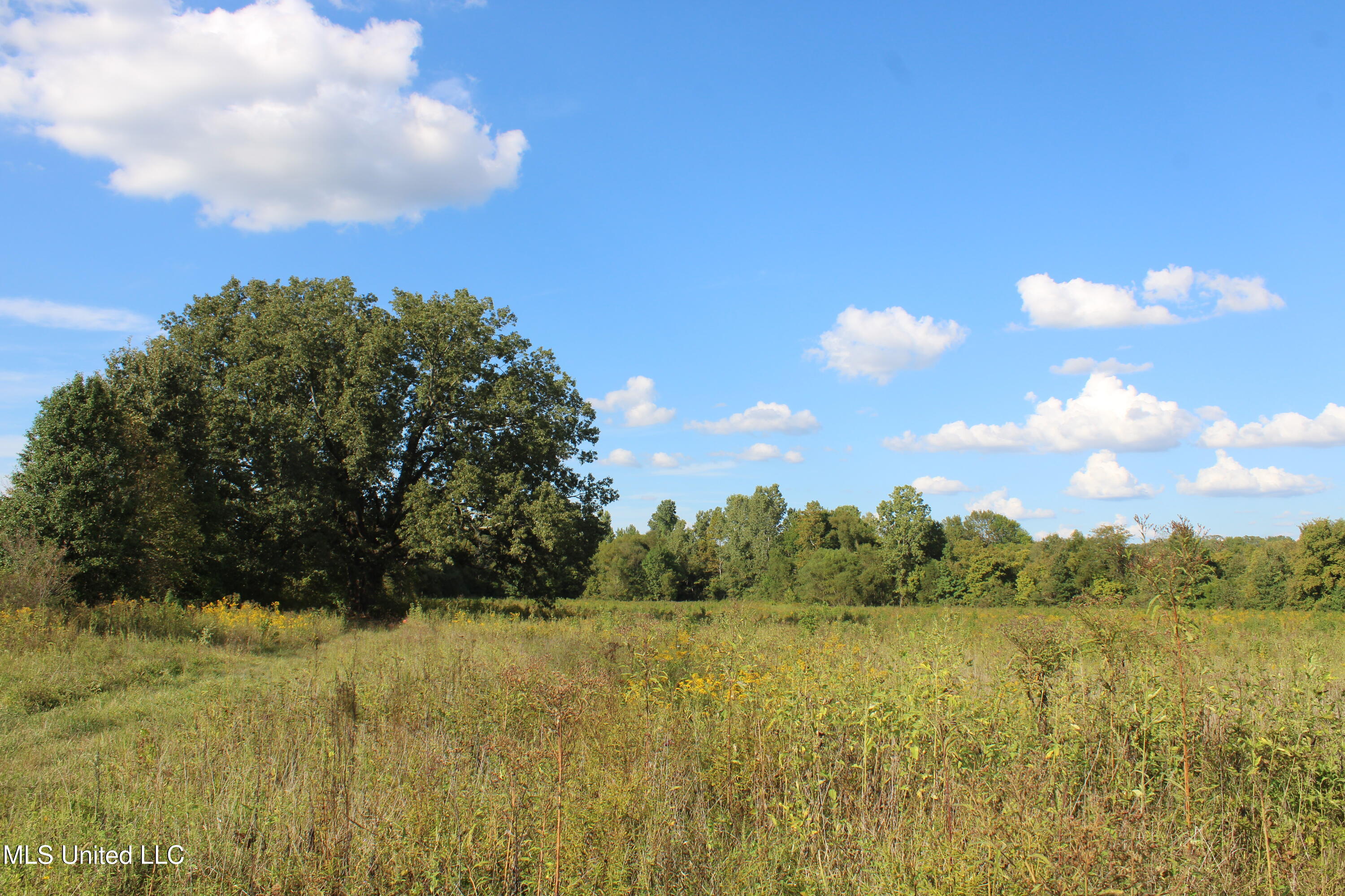 5300 Desoto Road Property Photo 26