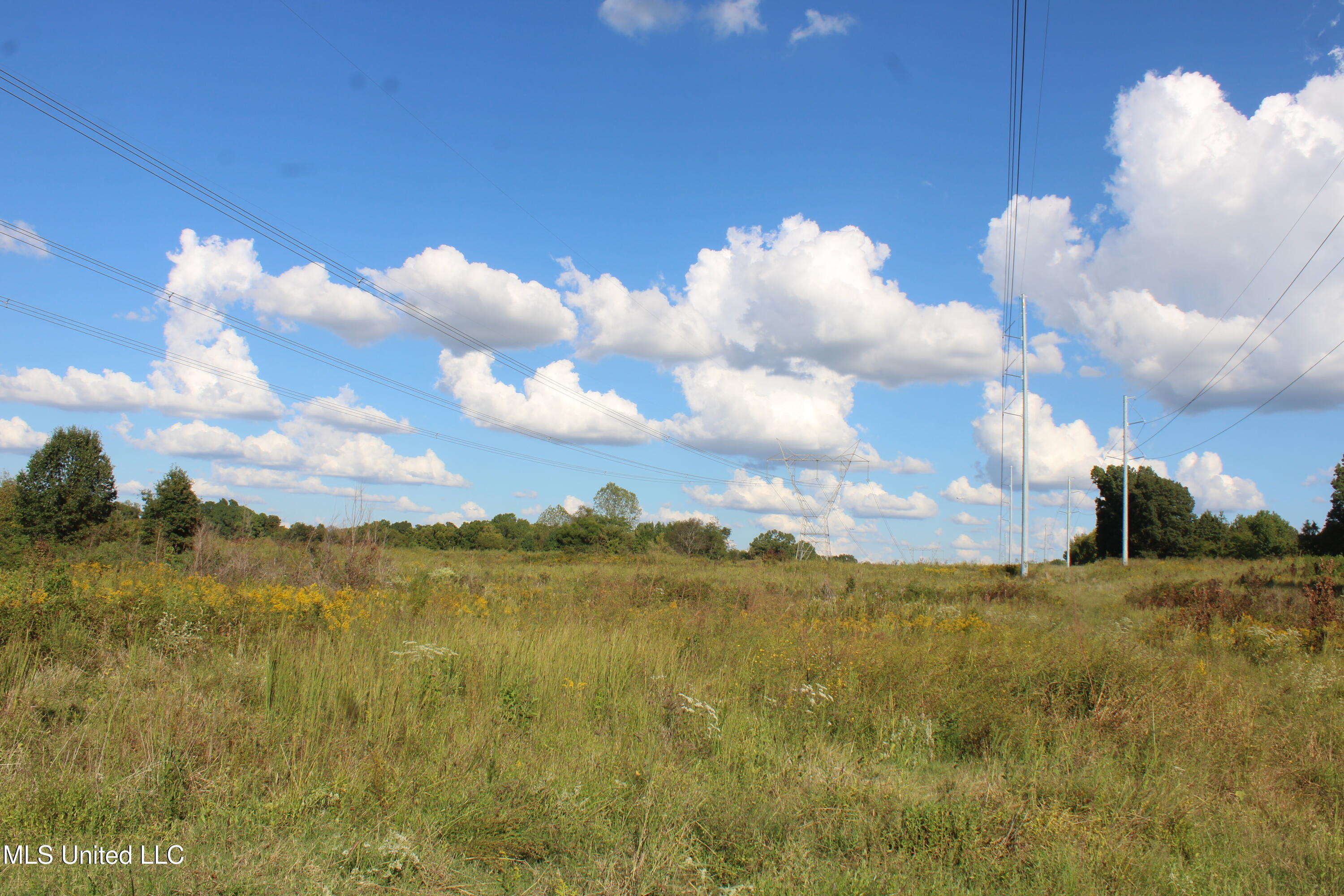 5300 Desoto Road Property Photo 27