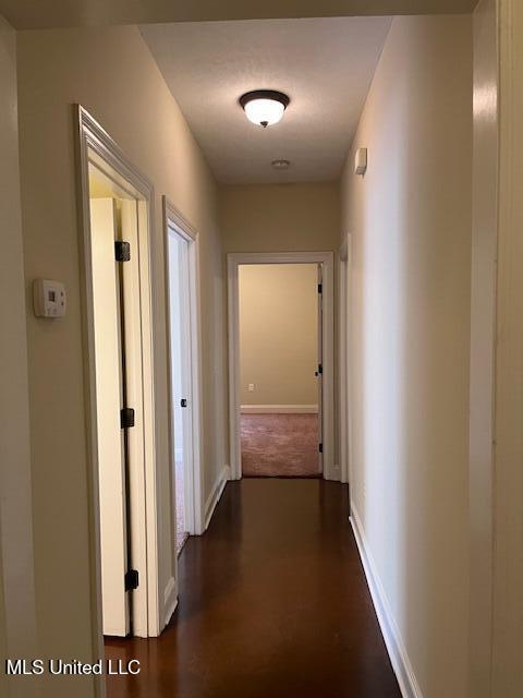 815 Jason Cove Property Photo 12