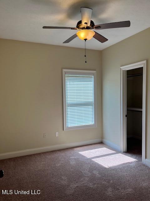 815 Jason Cove Property Photo 14