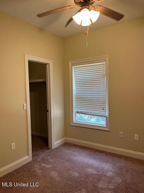 815 Jason Cove Property Photo 16