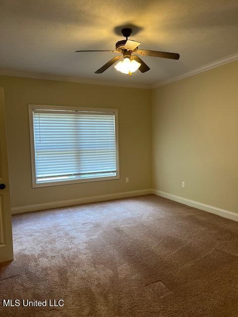 815 Jason Cove Property Photo 18