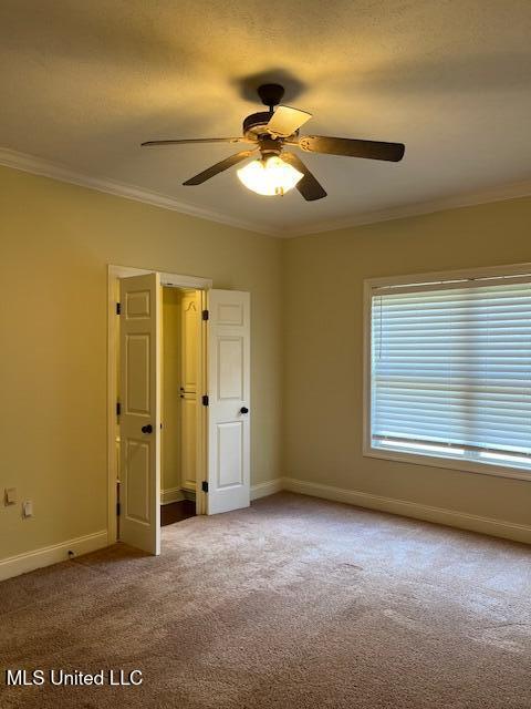 815 Jason Cove Property Photo 19