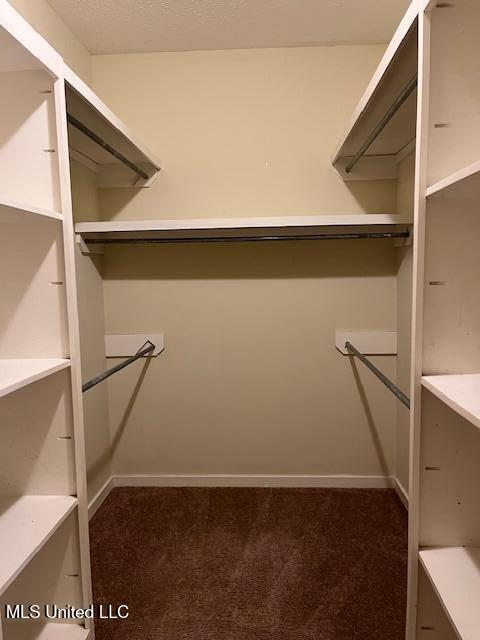 815 Jason Cove Property Photo 24