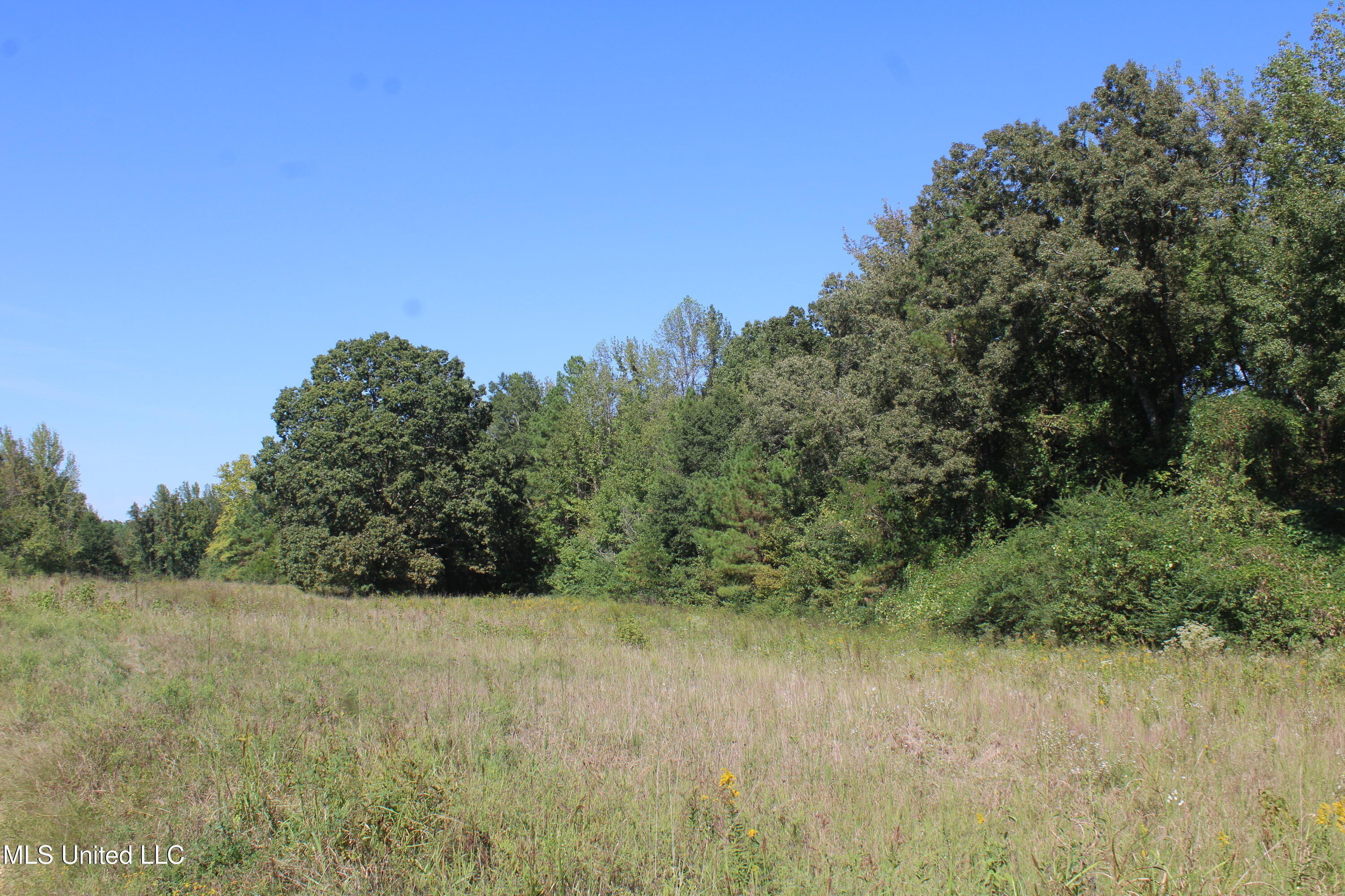 0 Red Banks Road Property Photo 2