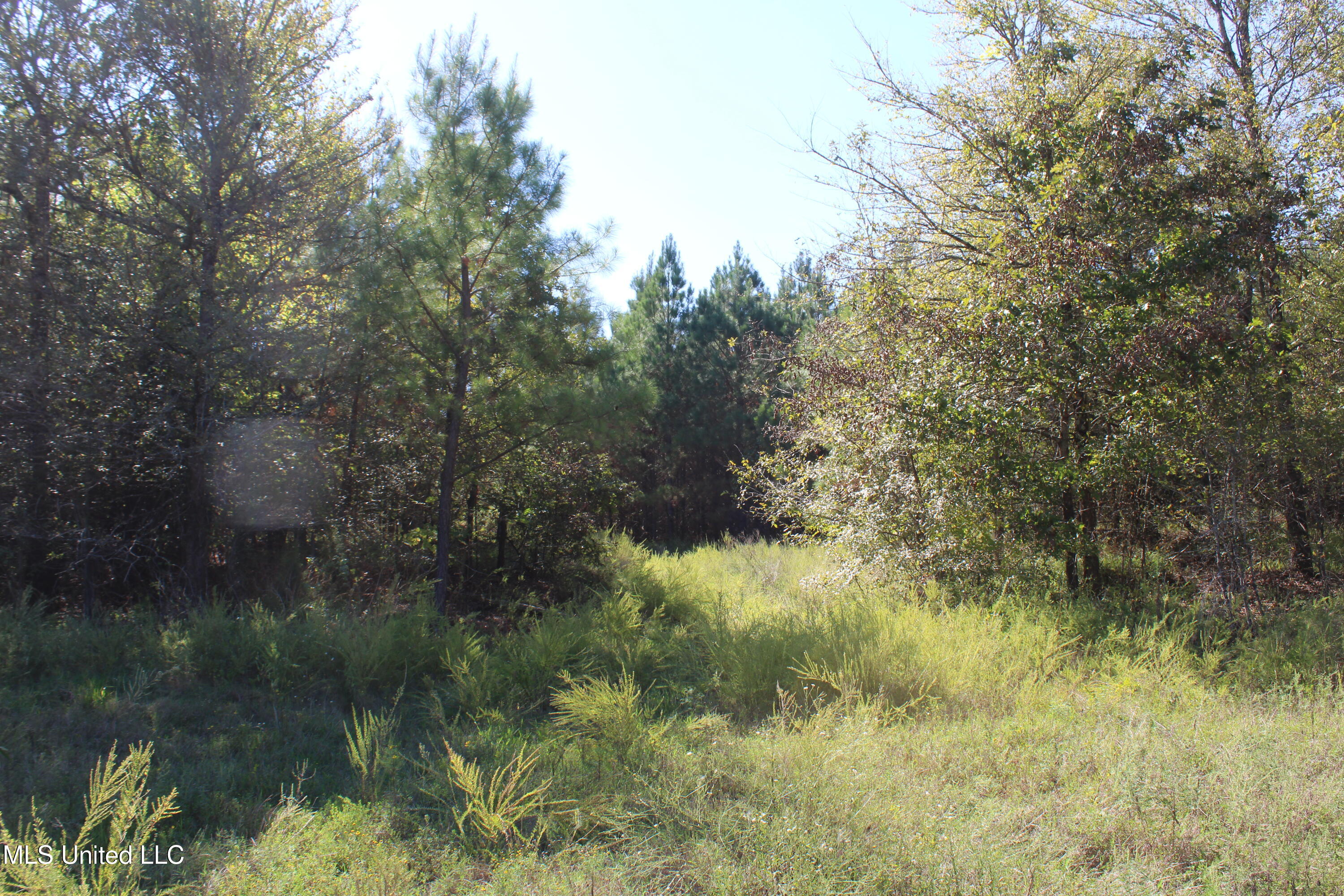 0 Red Banks Road Property Photo 4