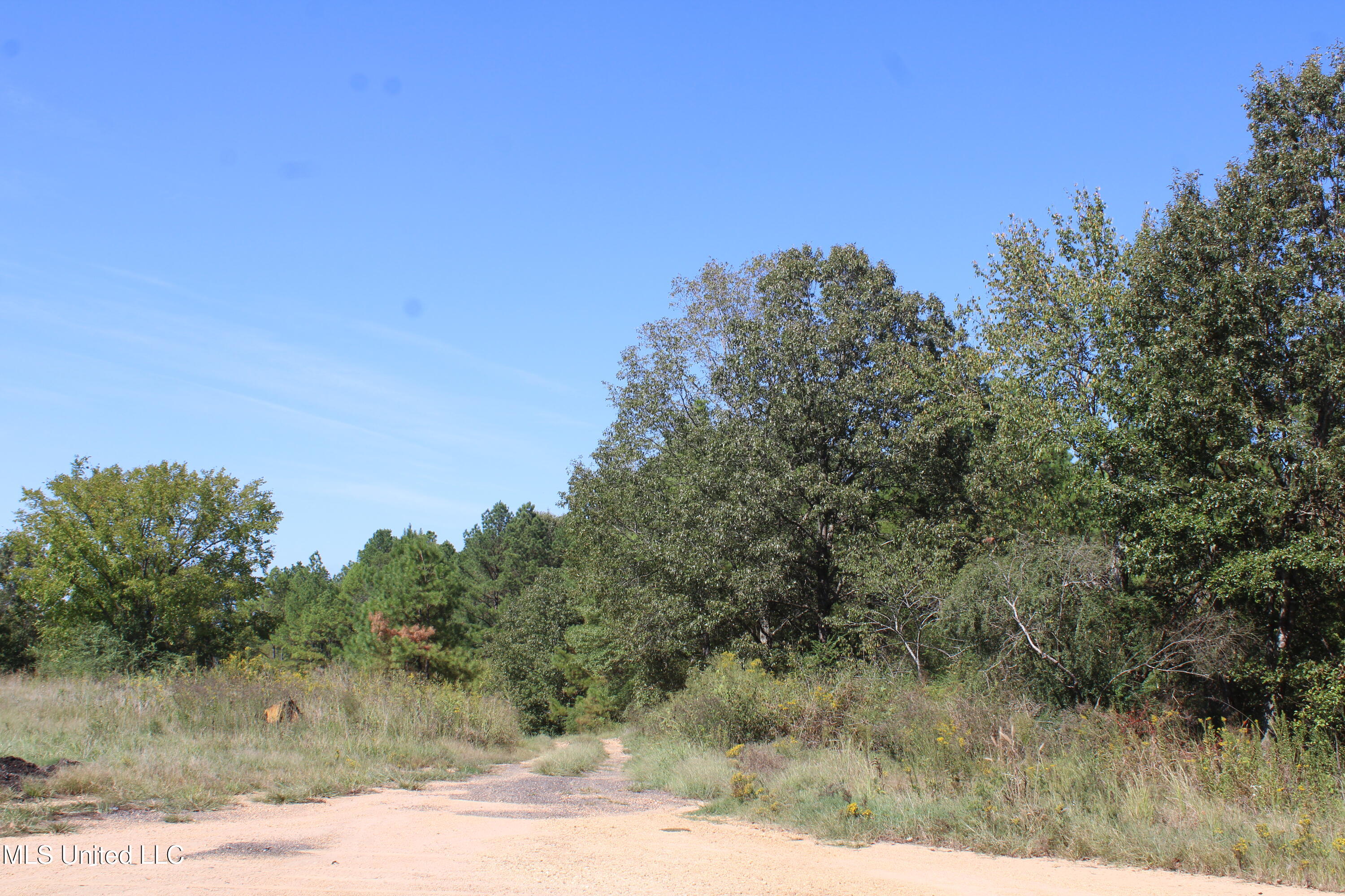 0 Red Banks Road Property Photo 5