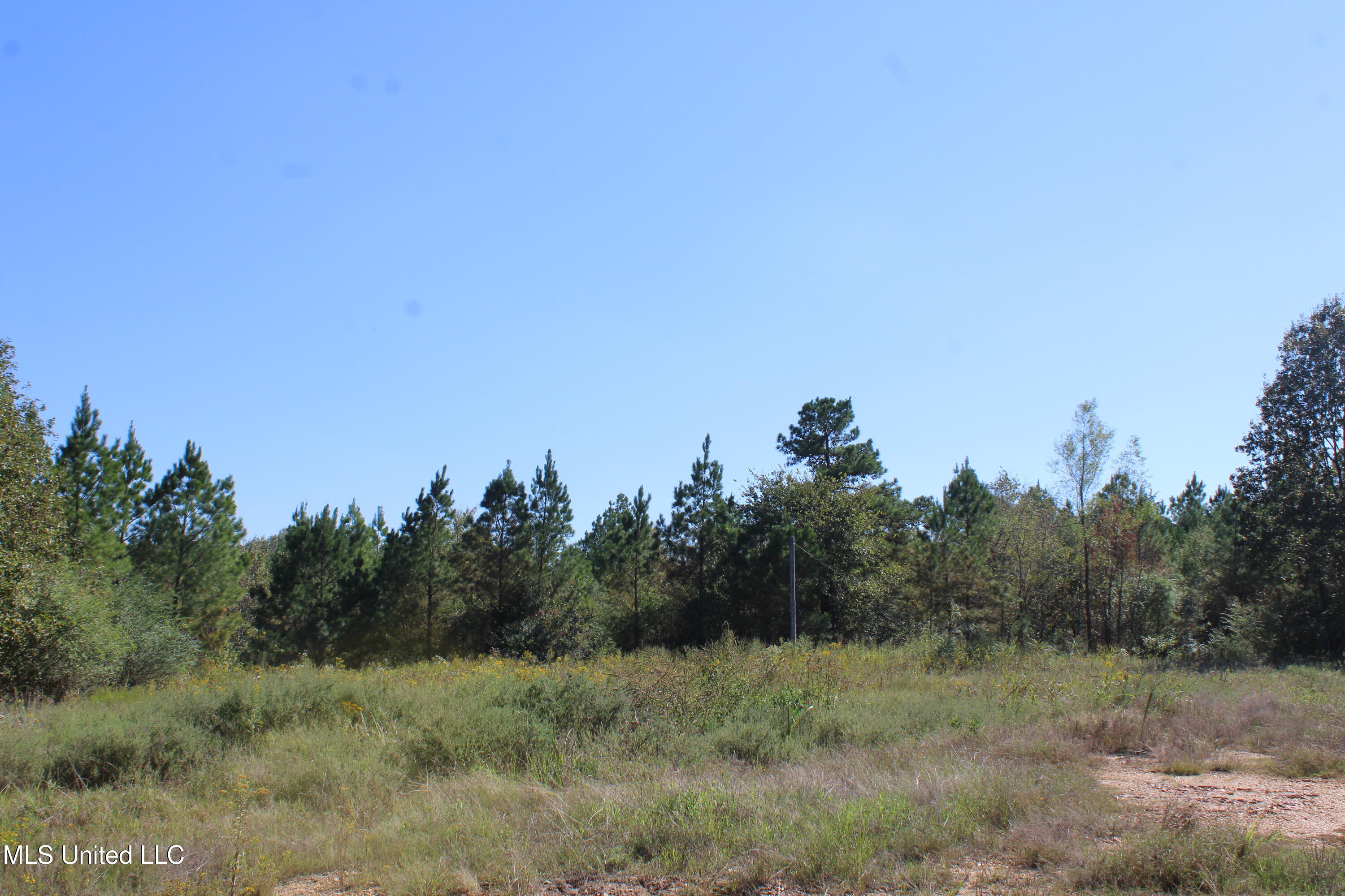 0 Red Banks Road Property Photo 6