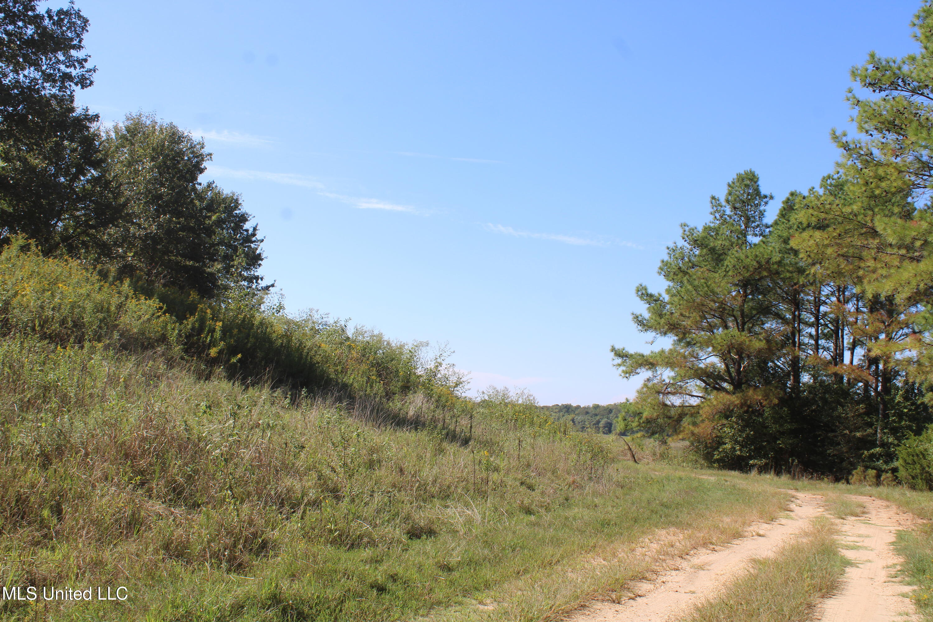 0 Red Banks Road Property Photo 8