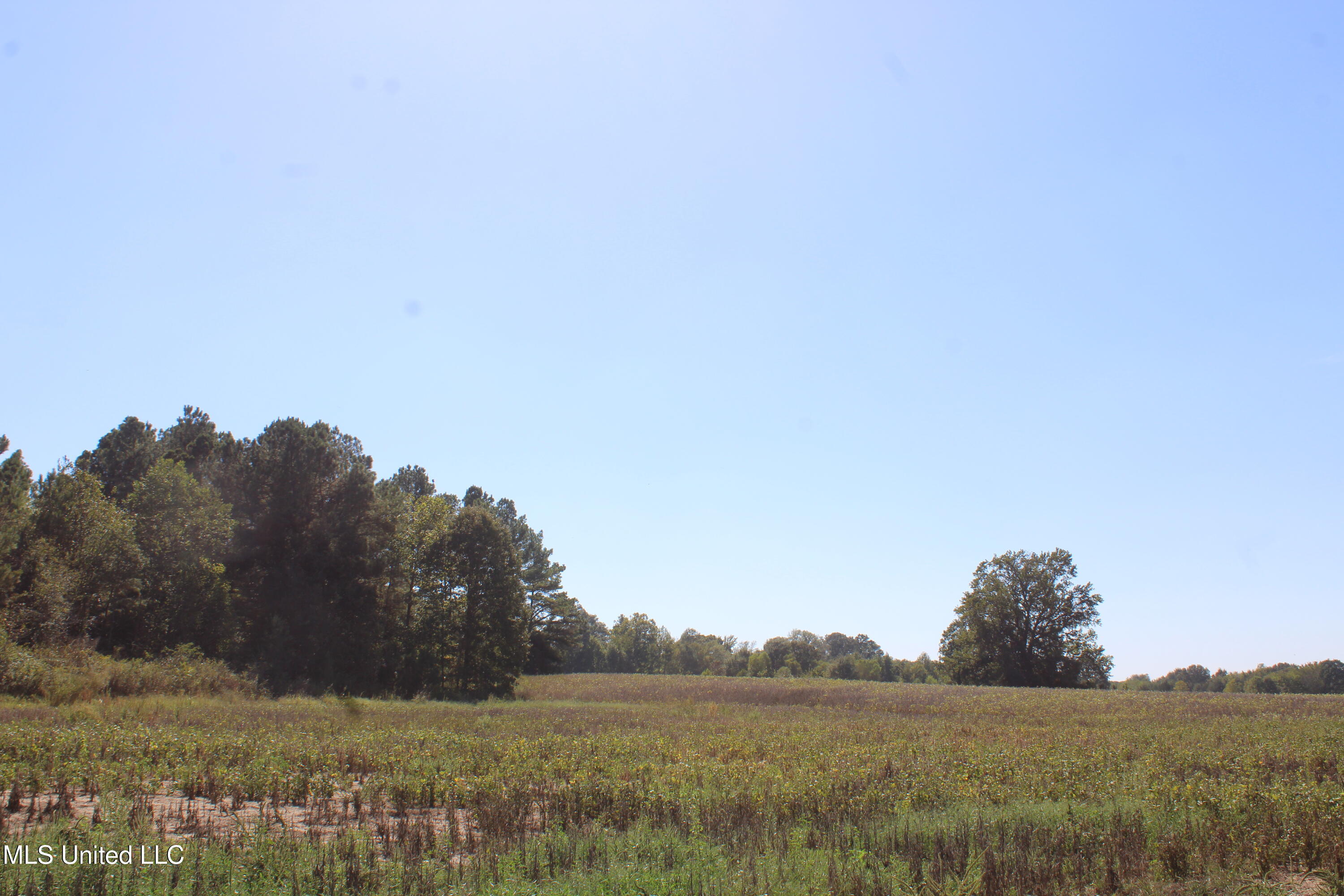 0 Red Banks Road Property Photo 9