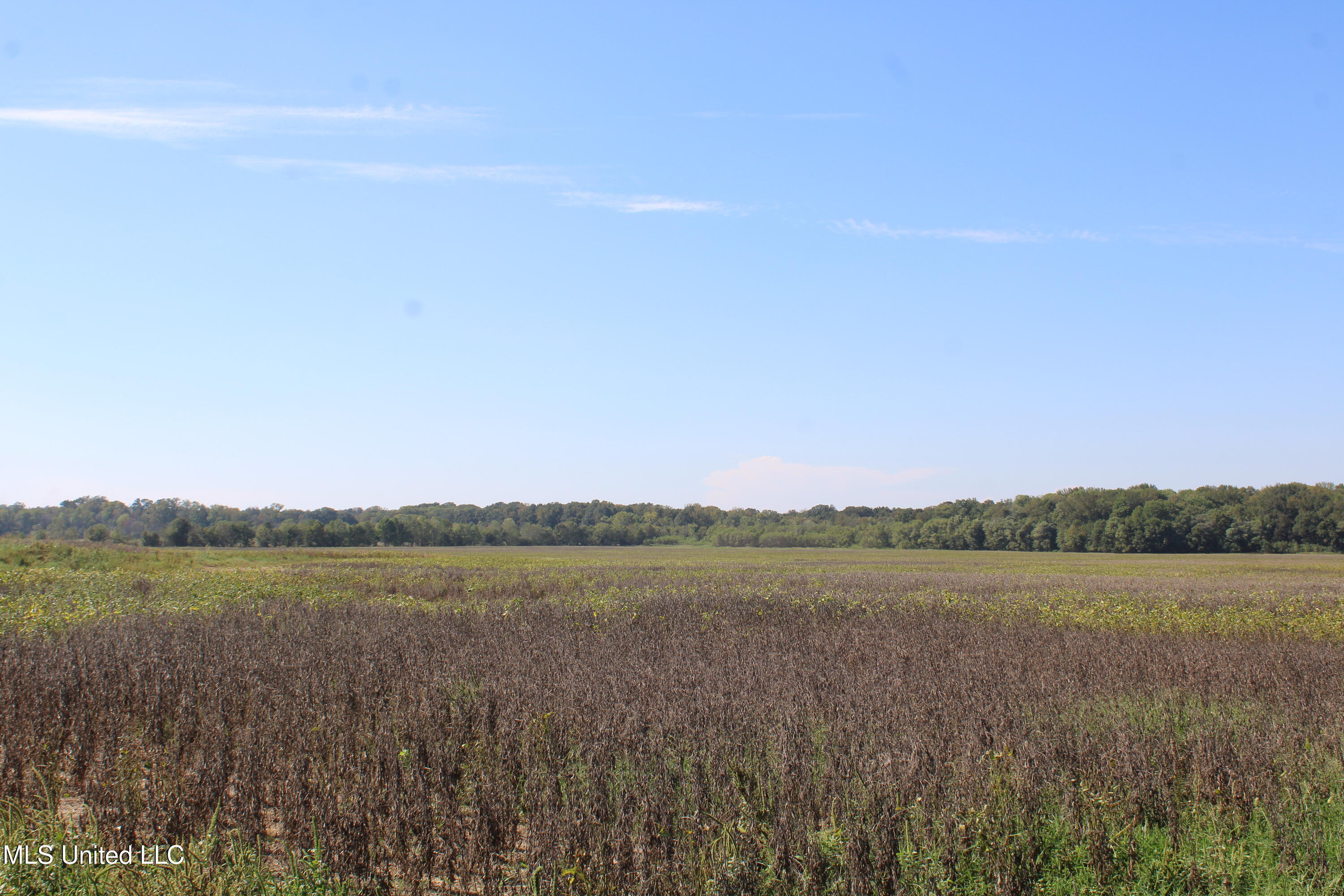 0 Red Banks Road Property Photo 10