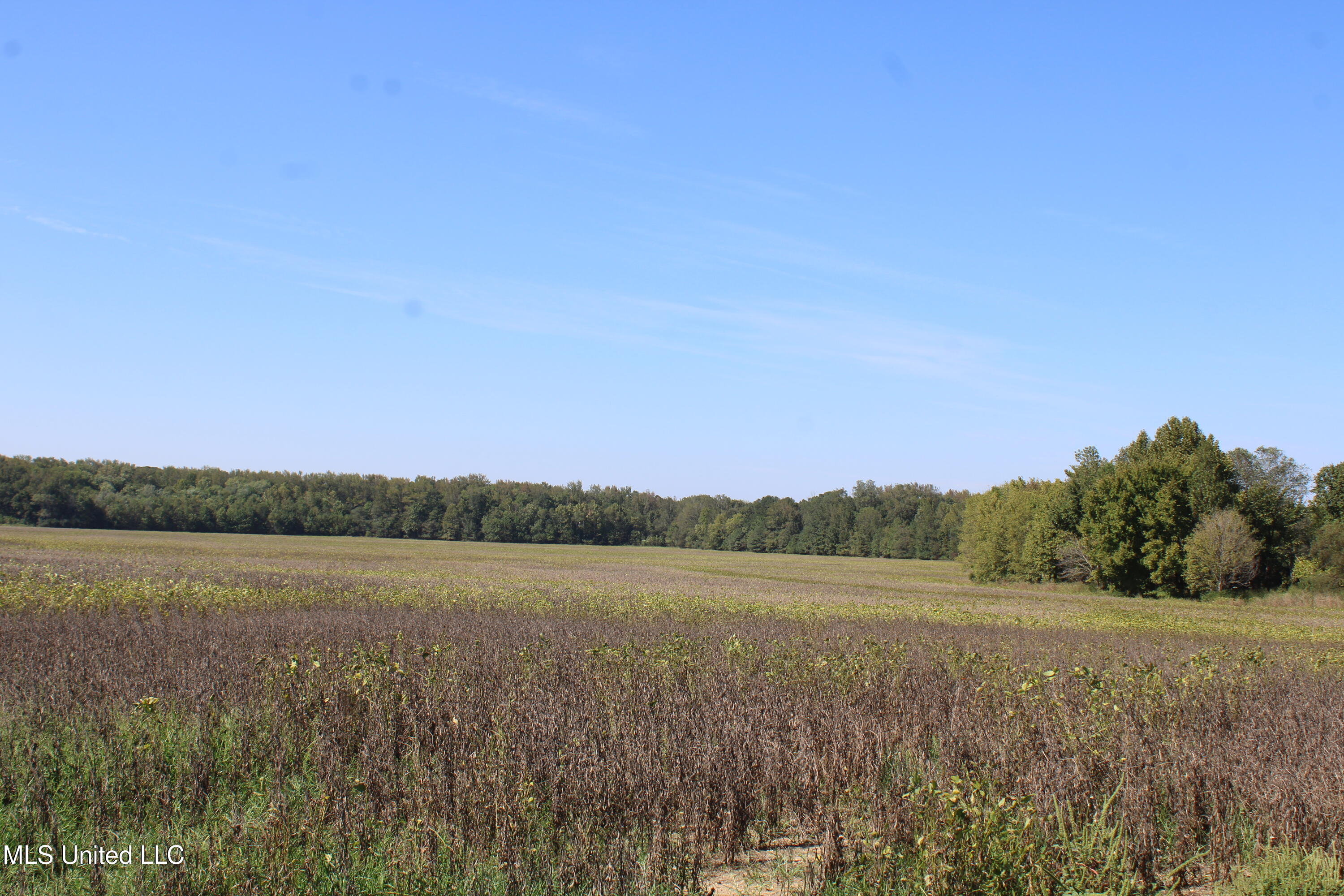 0 Red Banks Road Property Photo 11