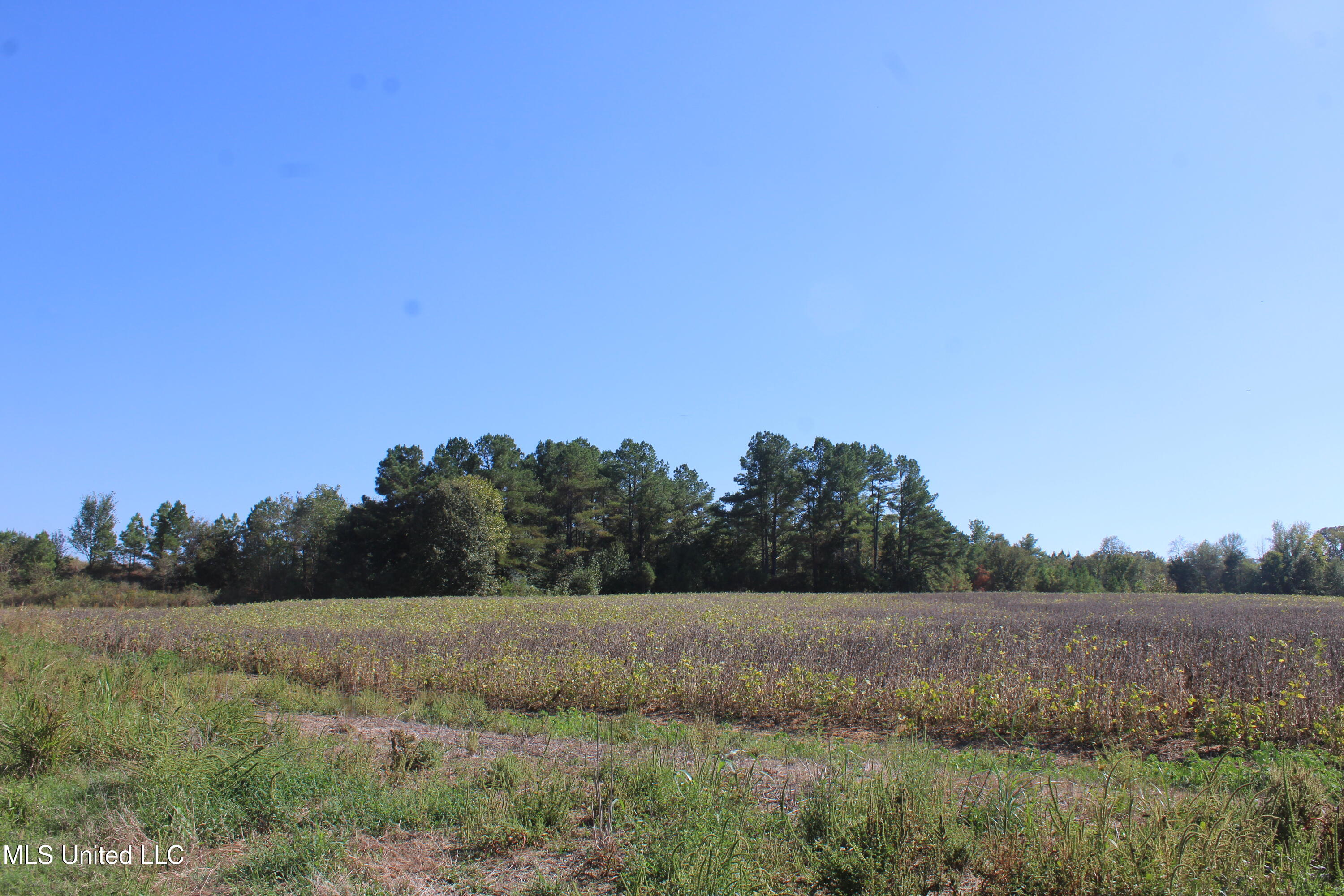 0 Red Banks Road Property Photo 12