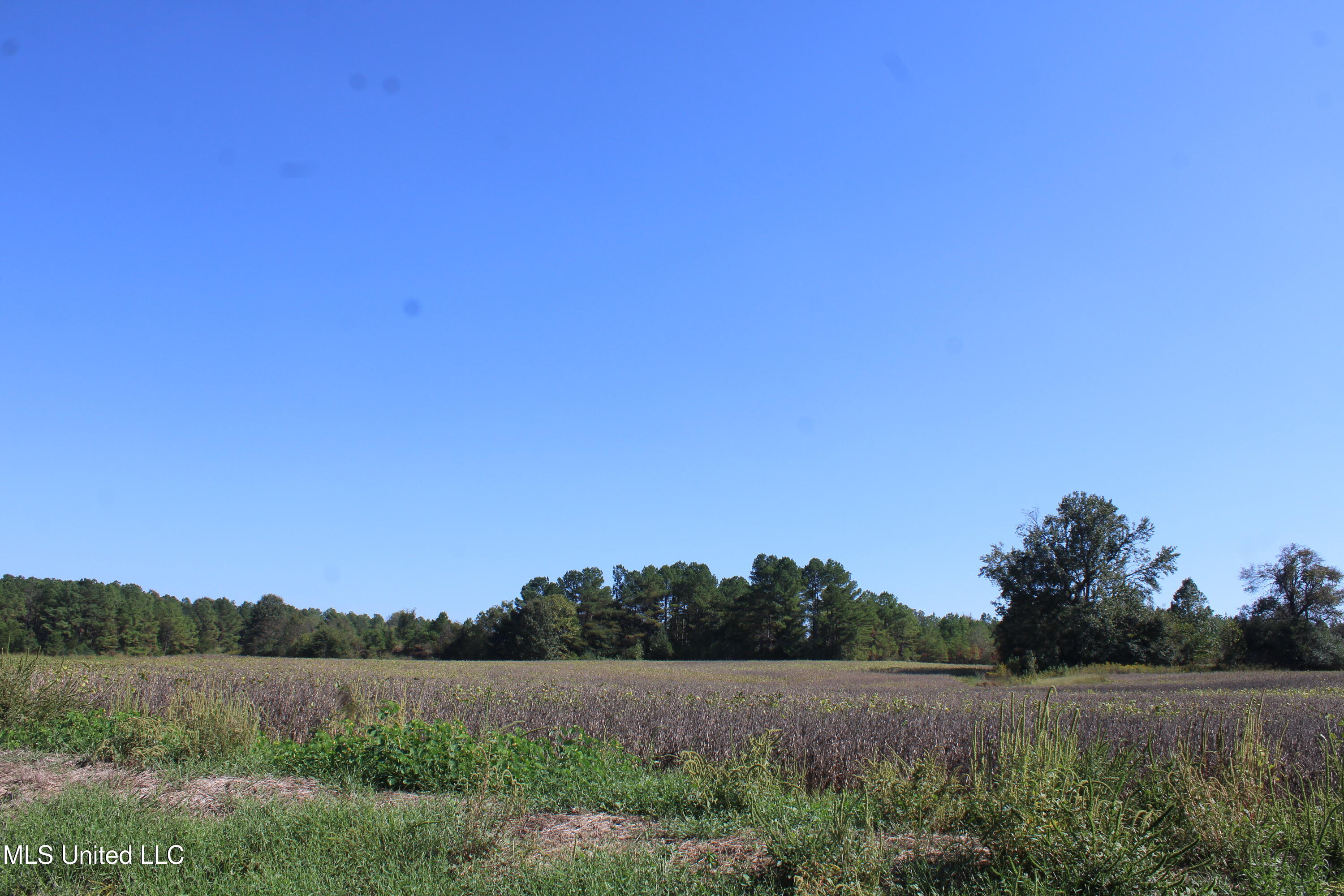 0 Red Banks Road Property Photo 13