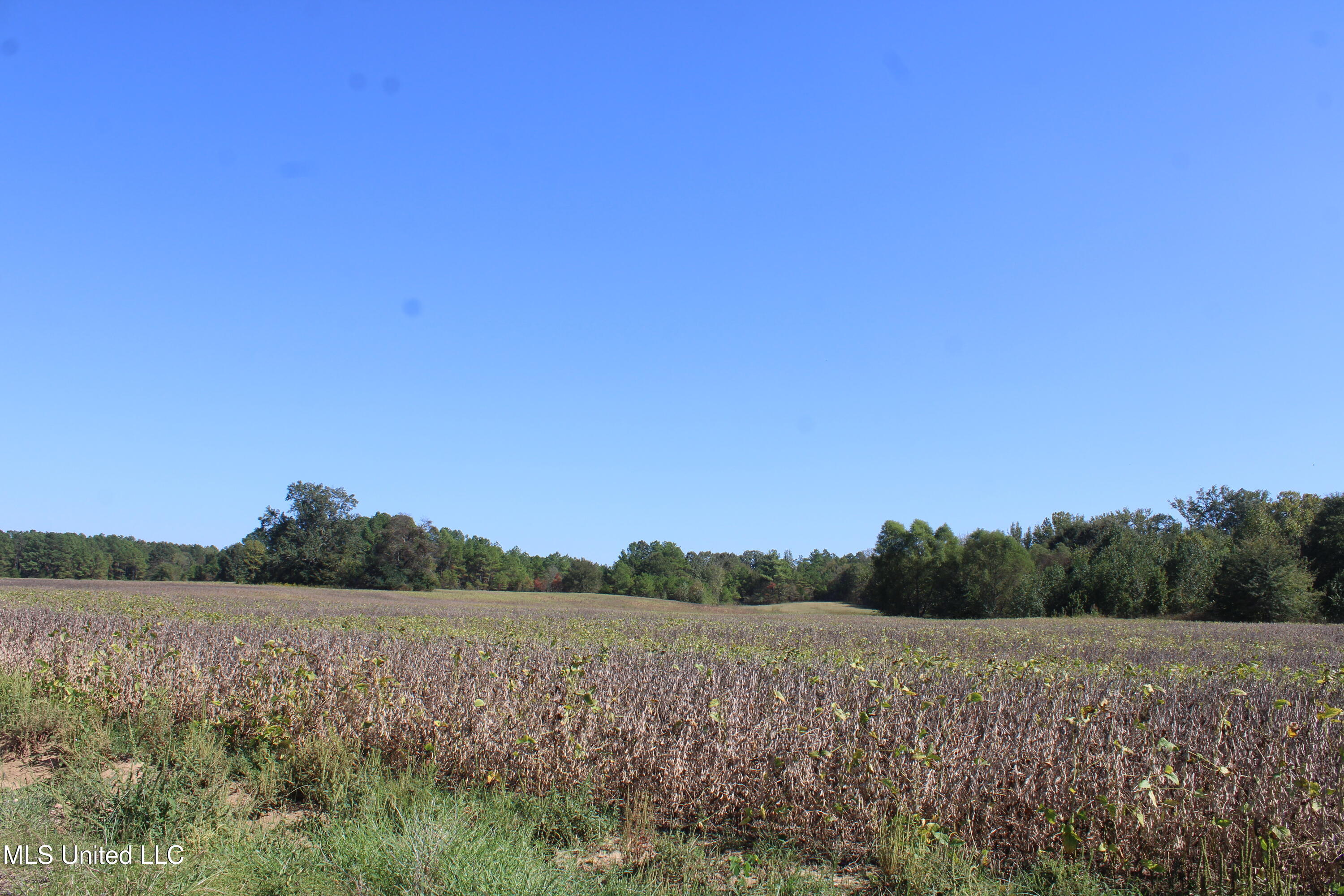 0 Red Banks Road Property Photo 14