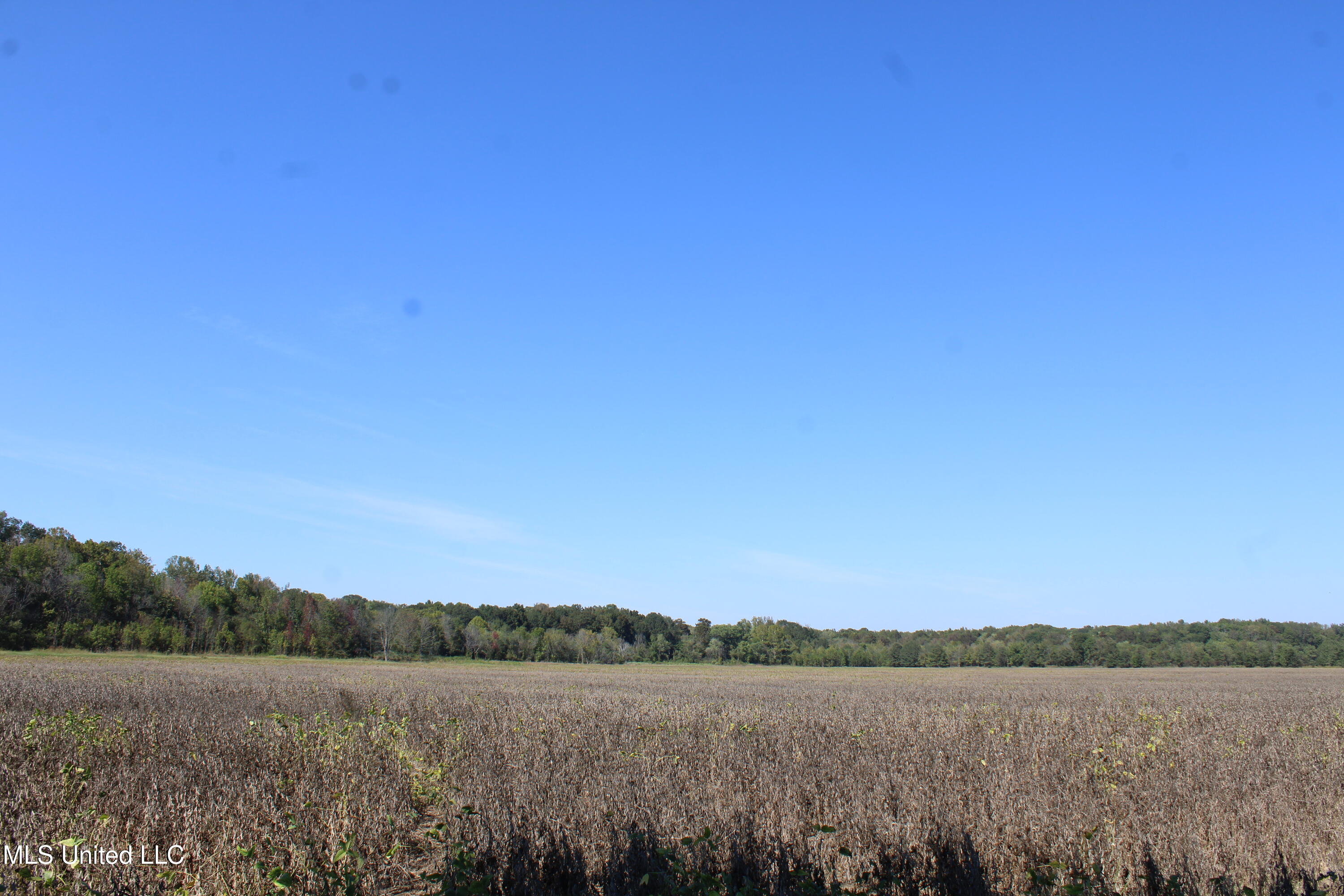 0 Red Banks Road Property Photo 15