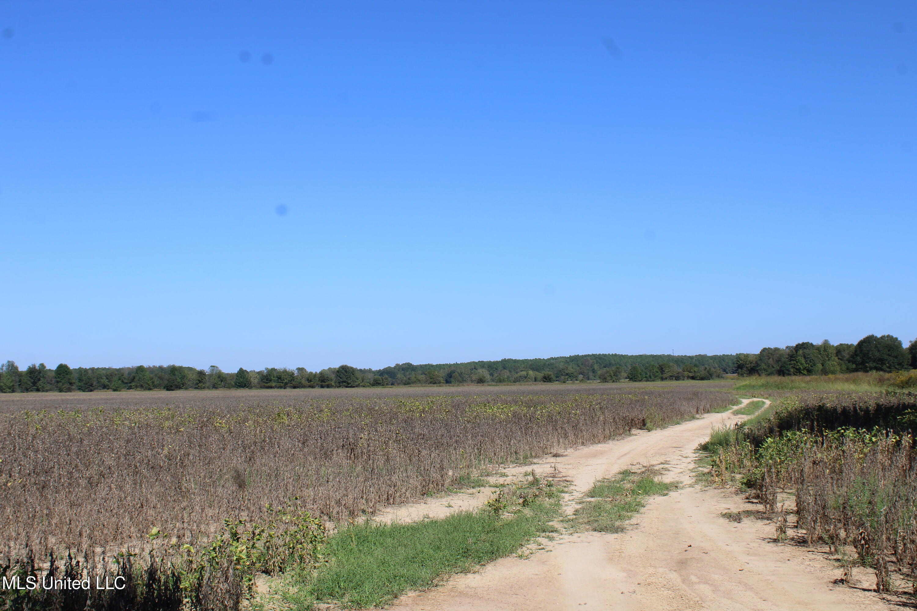 0 Red Banks Road Property Photo 16