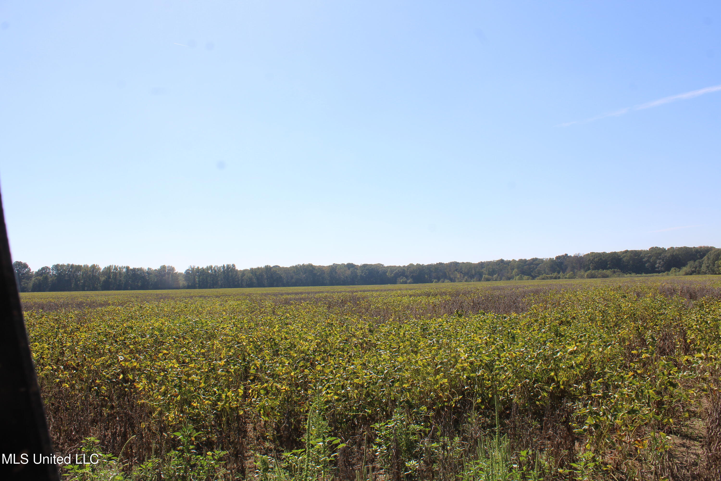 0 Red Banks Road Property Photo 17