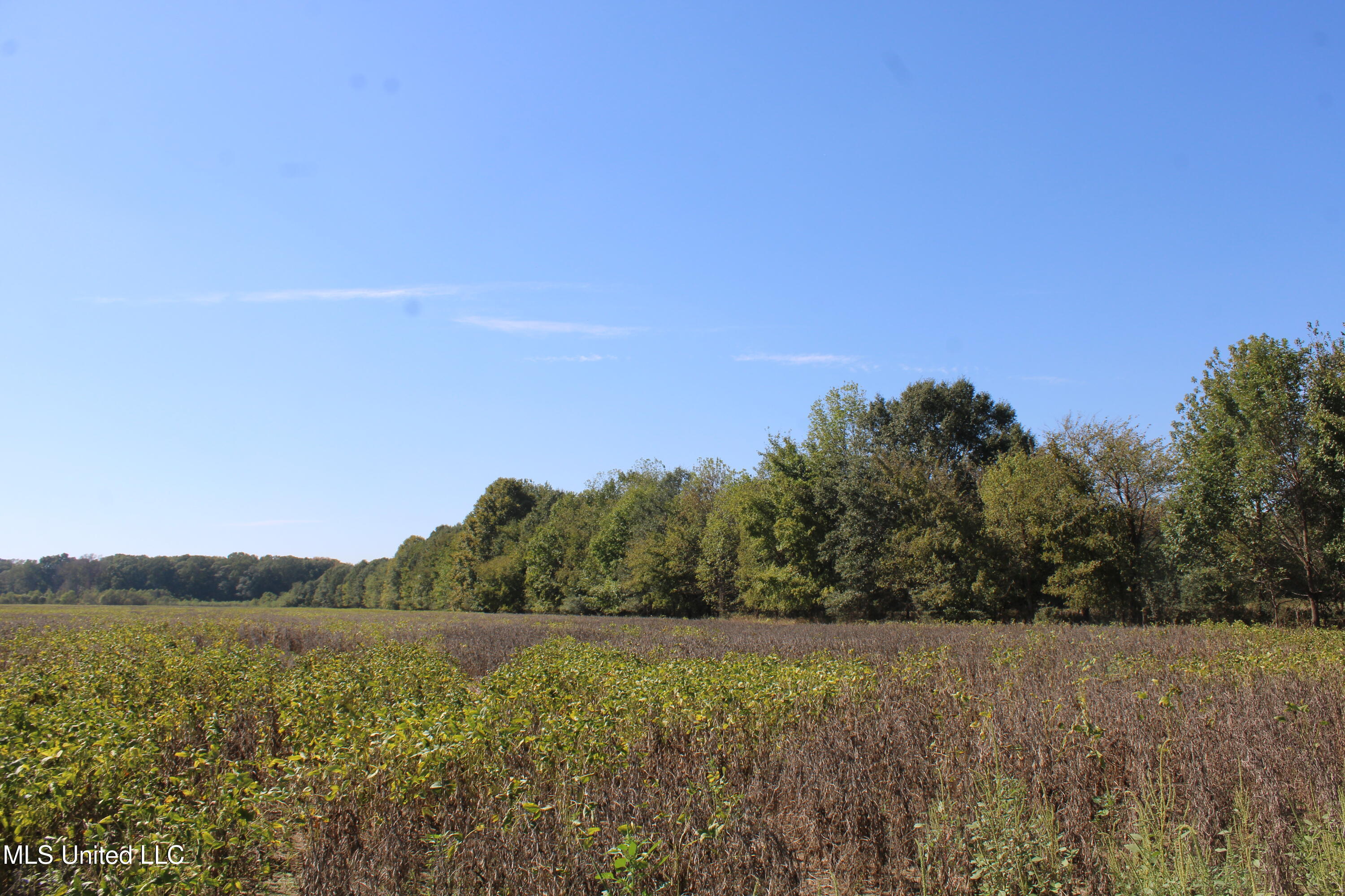 0 Red Banks Road Property Photo 18